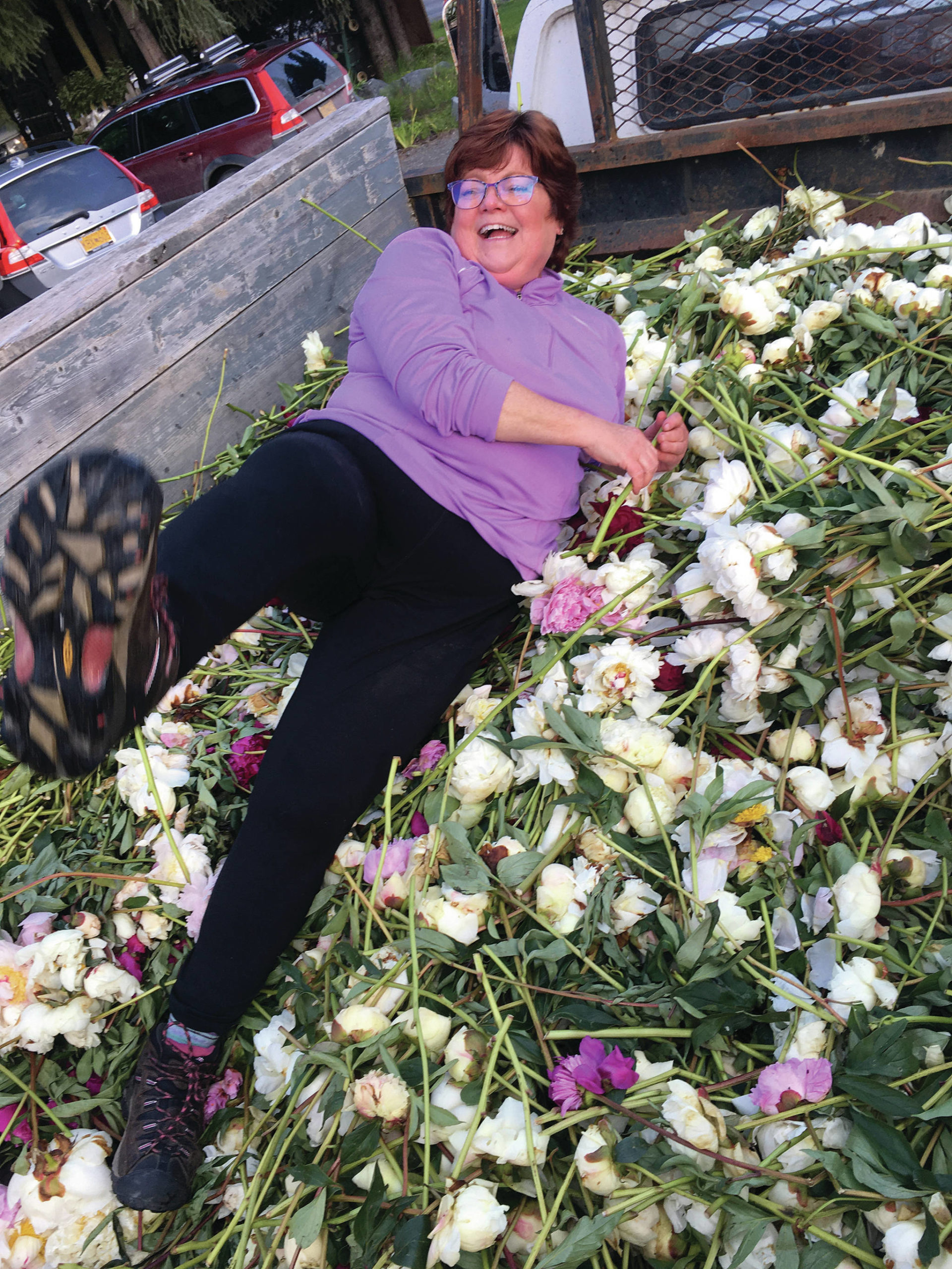 Teri Robl lies in the bed of a pickup truck with peonies destined for the compost pile on Aug. 7, 2020, in Fritz Creek, Alaska. (Photo by Julie Shaw)