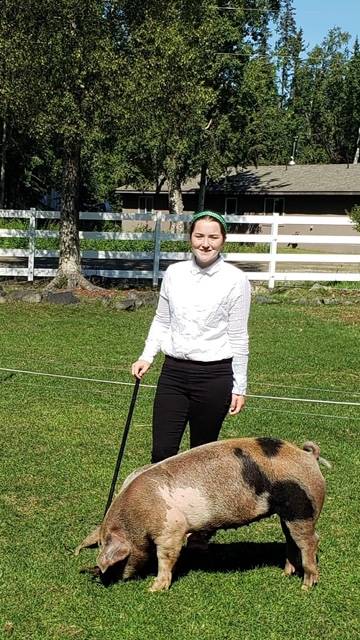 Kellee Martin with the North Road Rangers shows off her pig that will be sold at the 2020 Kenai Peninsula 4-H Junior Market Livestock Auction in this undated photo. (Photo courtesy Cassy Rankin)