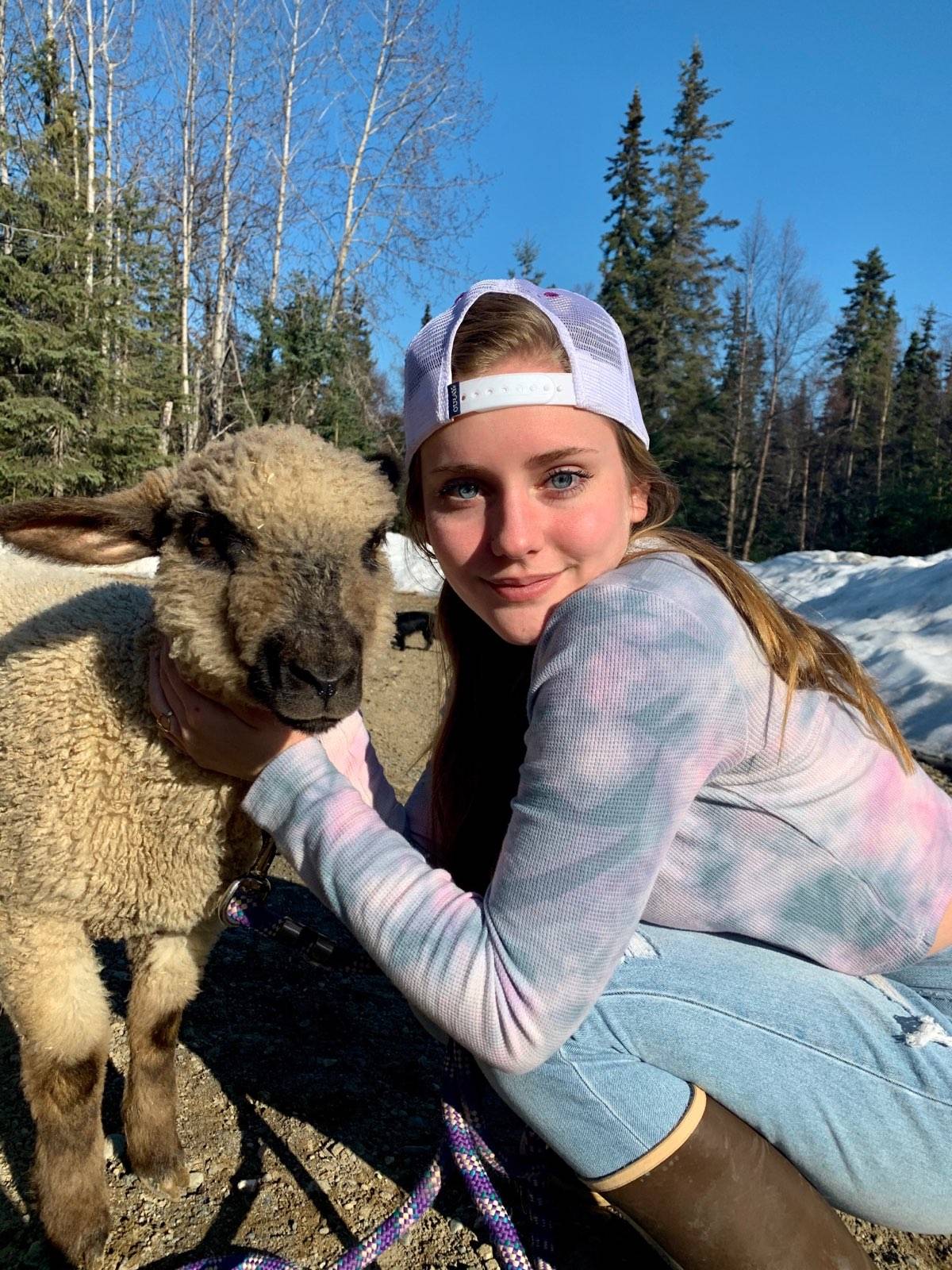 Elora Reichert shows off her sheep that will be sold at the 2020 Kenai Peninsula 4-H Junior Market Livestock Auction in this undated photo. (Photo courtesy Cassy Rankin)