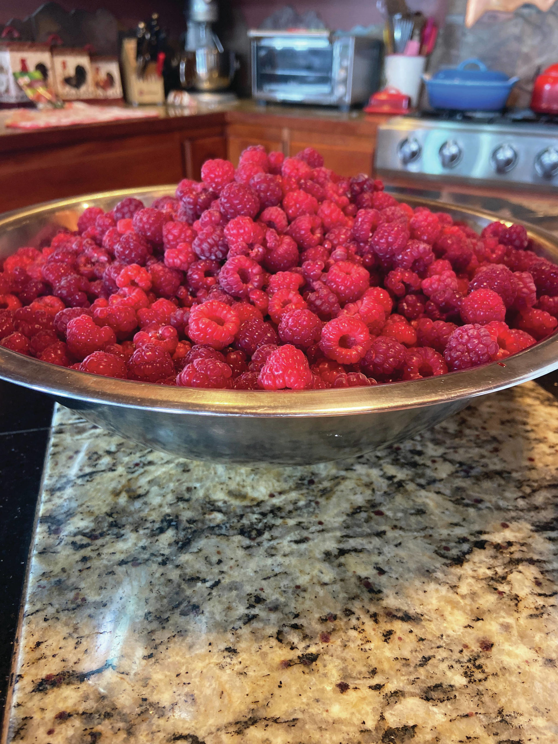 This bowl of fresh picked raspberries is an essential ingredient for a brown butter tart, as seen here in Teri Robl’s kitchen on Aug. 25, 2020, in Homer, Alaska. (Photo by Teri Robl)
