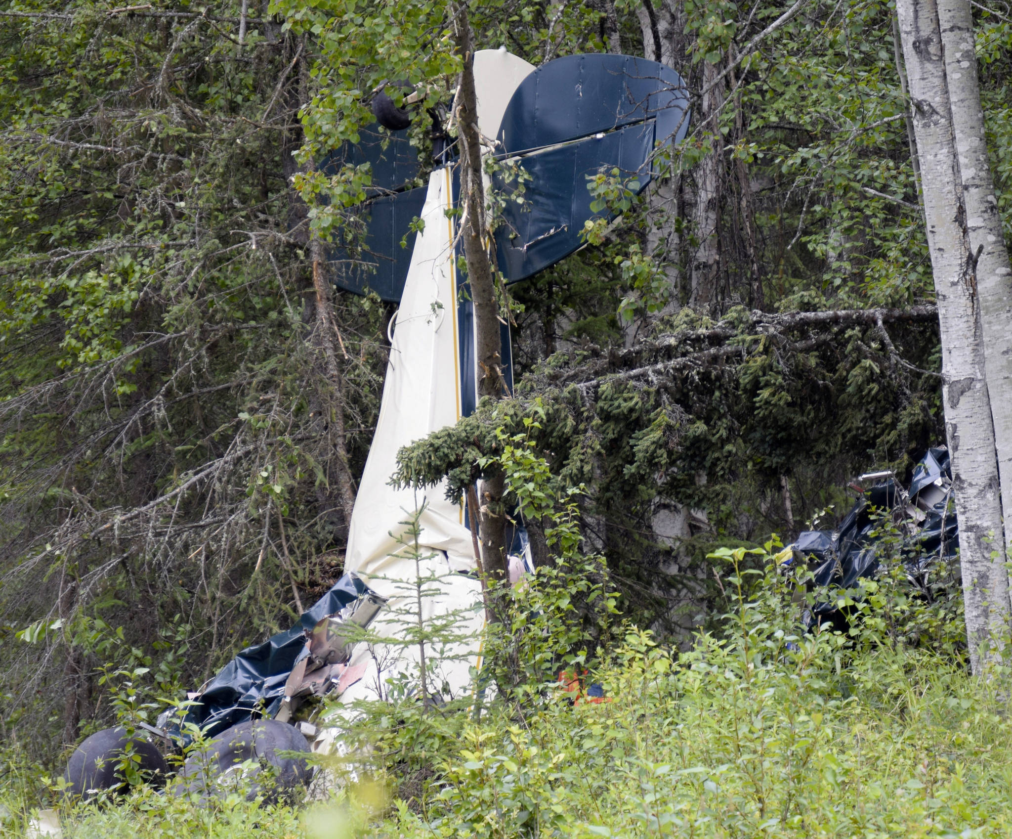 A plane rests in brush and trees after a midair collision outside of Soldotna, Alaska. State Rep. Gary Knopp, an Alaska state lawmaker who was involved in a July midair collision that killed seven people, was piloting his plane even though his medical flight certification was denied eight years ago because of vision problems, the National Transportation Safety Board reported Tuesday, Aug. 25, 2020. (Jeff Helminiak / Peninsula Clarion)