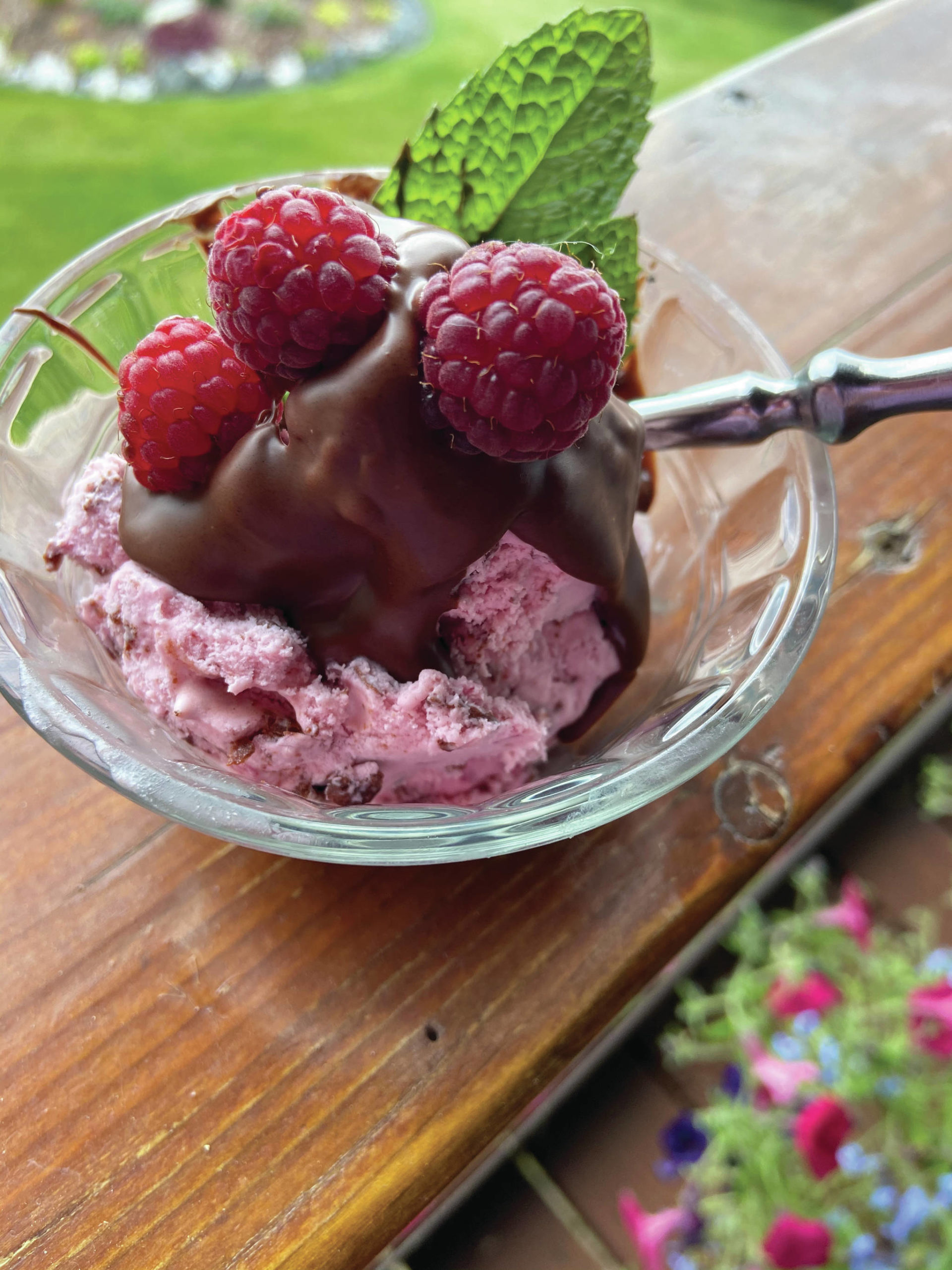 Chocolate-flake raspberry ice cream is the perfect end-of-summer dessert to make with raspberries, as seen here in Teri Robl’s Homer, Alaska, kitchen on Sept. 8, 2020. (Photo by Teri Robl)
