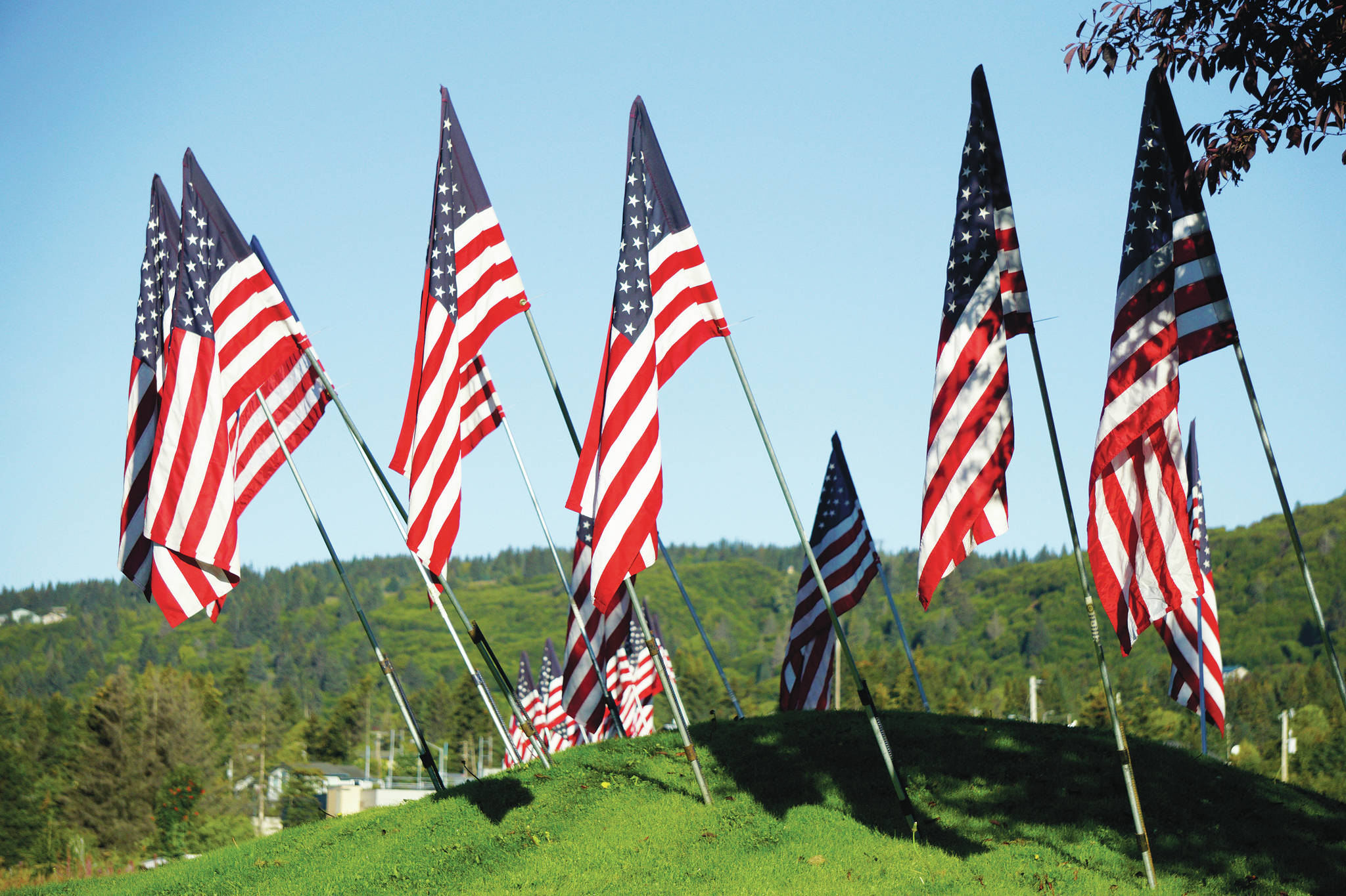 American flags fly on Sept. 11, 2020, in the park at the corner of Lake Street and the Homer Bypass Road in Homer, Alaska. Rotary Club of Homer Downtown places the flags every year to honor the people killed and injured in the events of Sept. 11, 2001. (Photo by Michael Armstrong/Homer News)