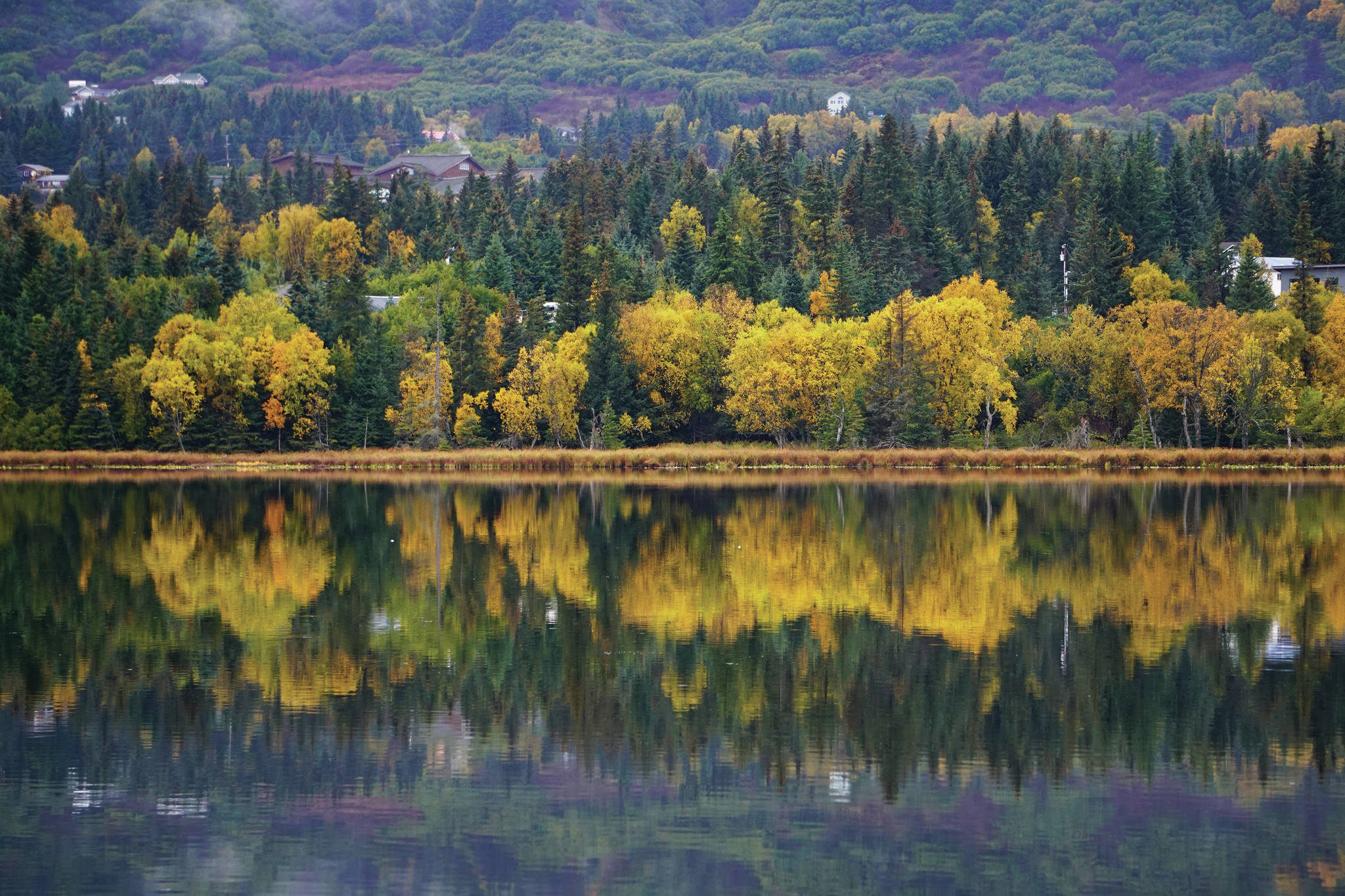 Fall colors are reflected in Beluga Lake on Friday, Sept. 25, 2020, in Homer, Alaska. (Photo by Michael Armstrong/Homer News)