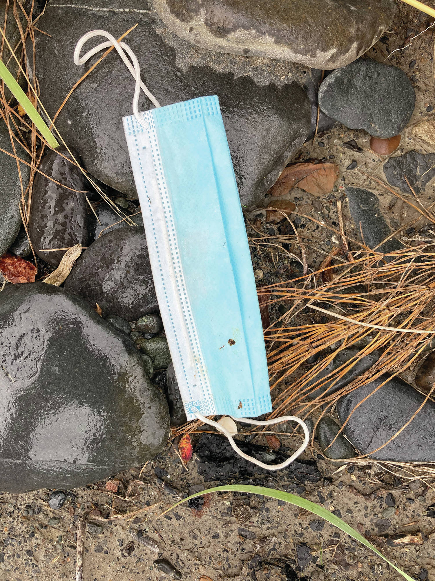 This face mask is among items found on a CoastWalk done on Sunday, Oct. 4, 2020, on the Diamond Creek beach near Homer, Alaska. (Photo by Michael Armstrong/Homer News)