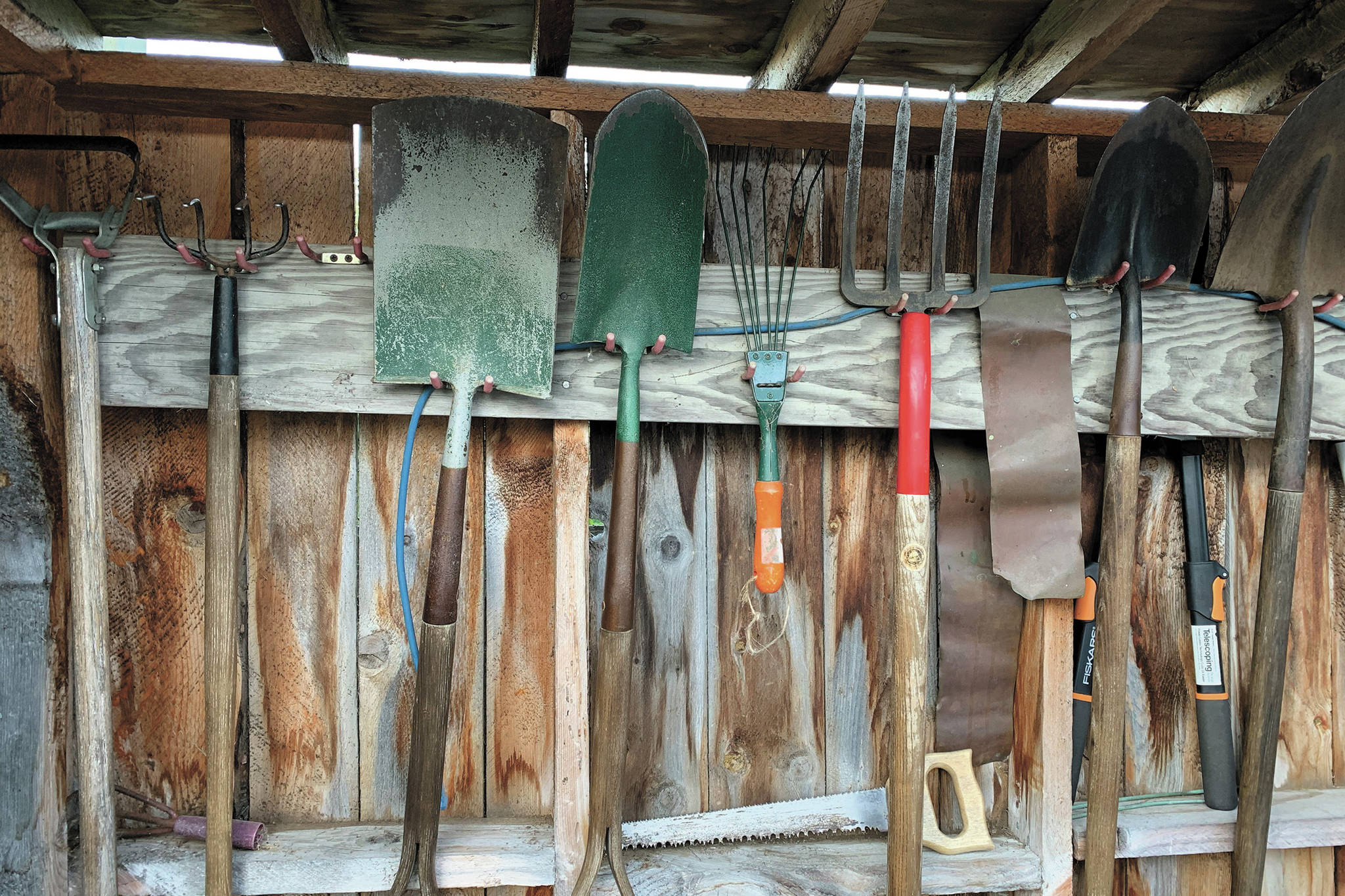 Now is that time to clean and sharpen garden tools to get them ready for next season, as seen here on Wednesday, Oct. 21, 2020, in the Kachemak Gardener's shed. (Photo by Rosemary Fitzpatrick)