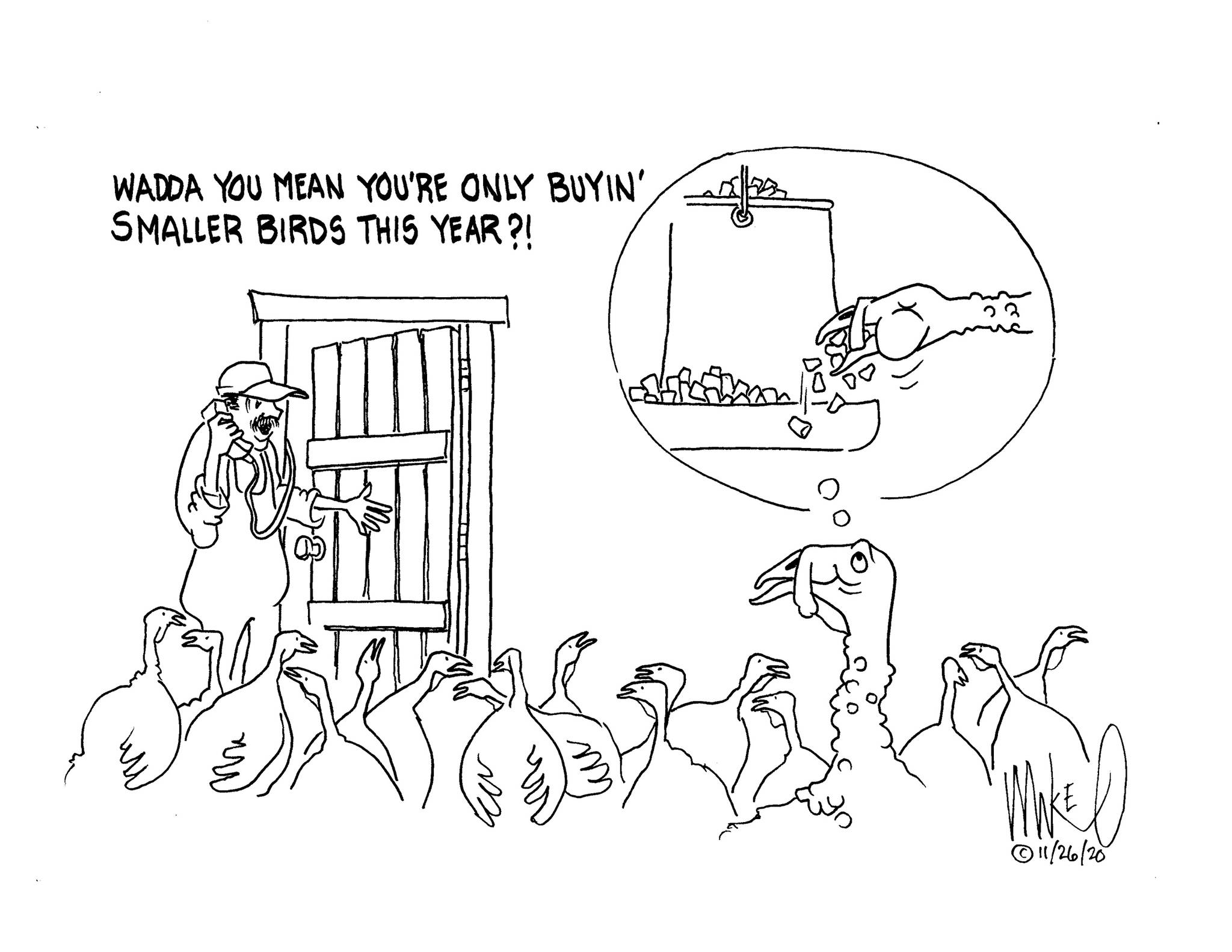Michael O'Meara's cartoon for Nov. 25, 2020.