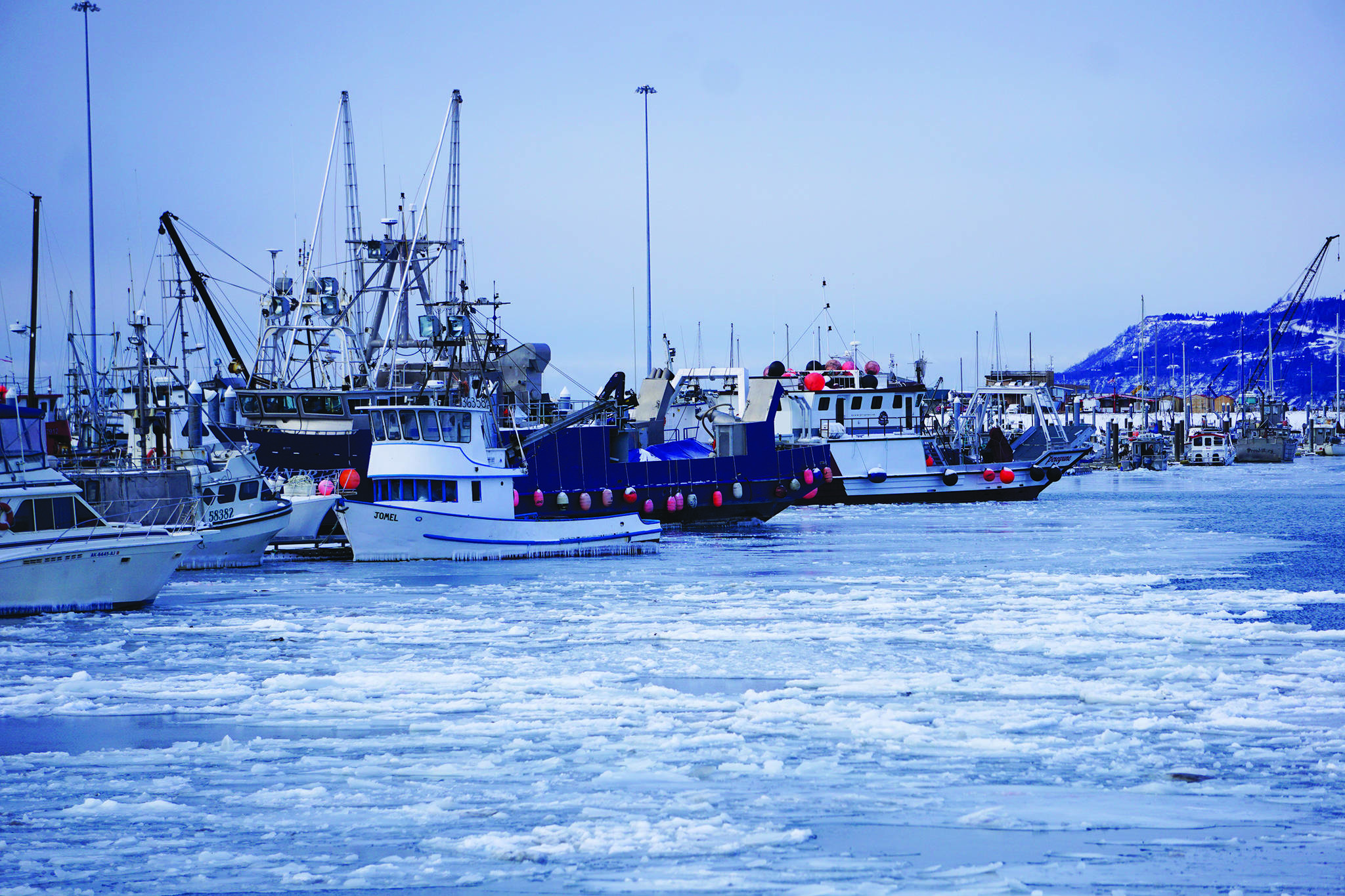 Ice chokes the Homer Harbor on Jan. 9, 2020 in Homer, Alaska. (Photo by Michael Armstrong/Homer News)