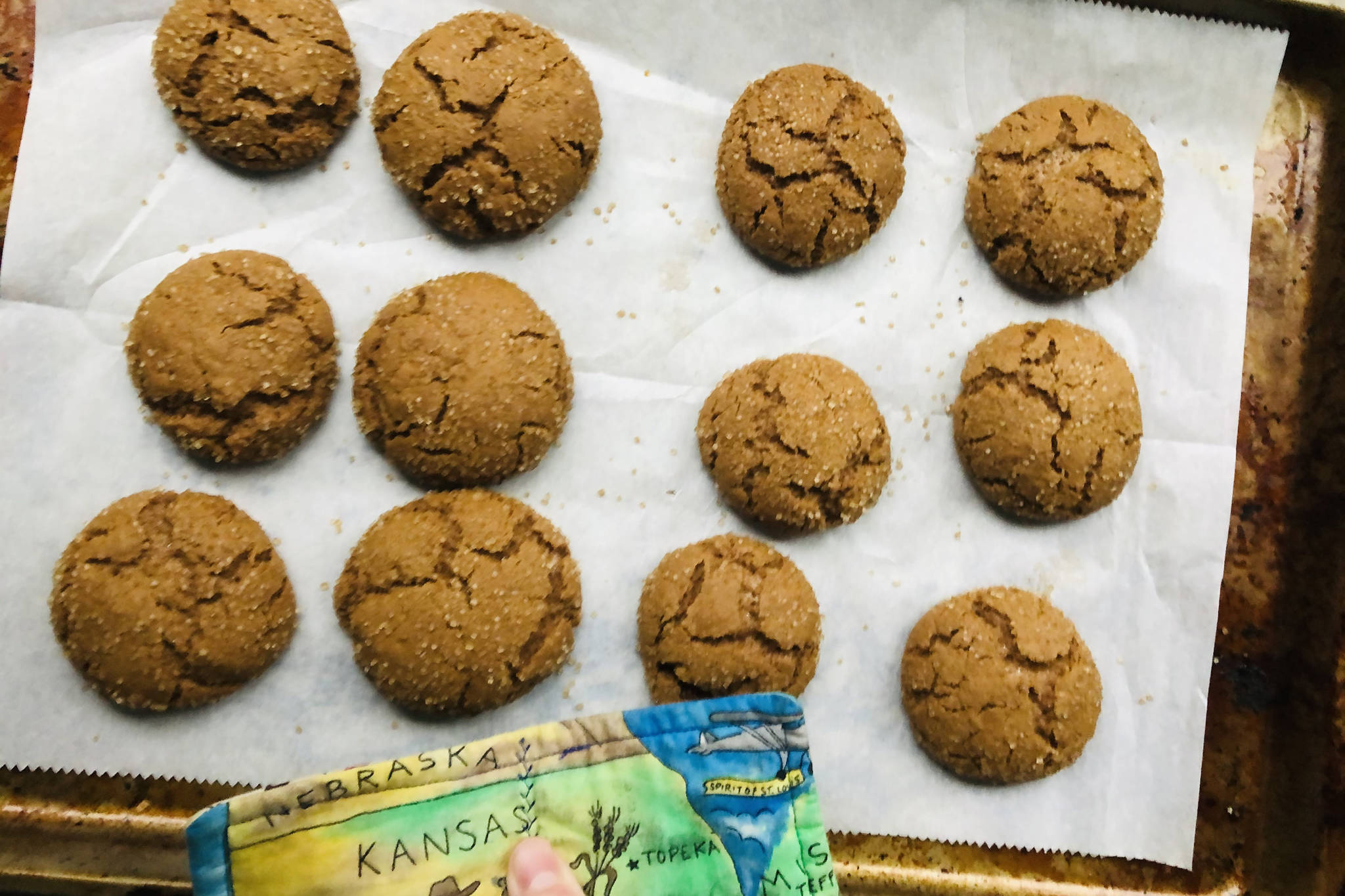 Ginger molasses cookies make for a delicious, chewy way to spread holiday cheer to family and friends isolated during the pandemic, photographed on Nov. 30, 2020, in Anchorage, Alaska. (Photo by Victoria Petersen/Peninsula Clarion)
