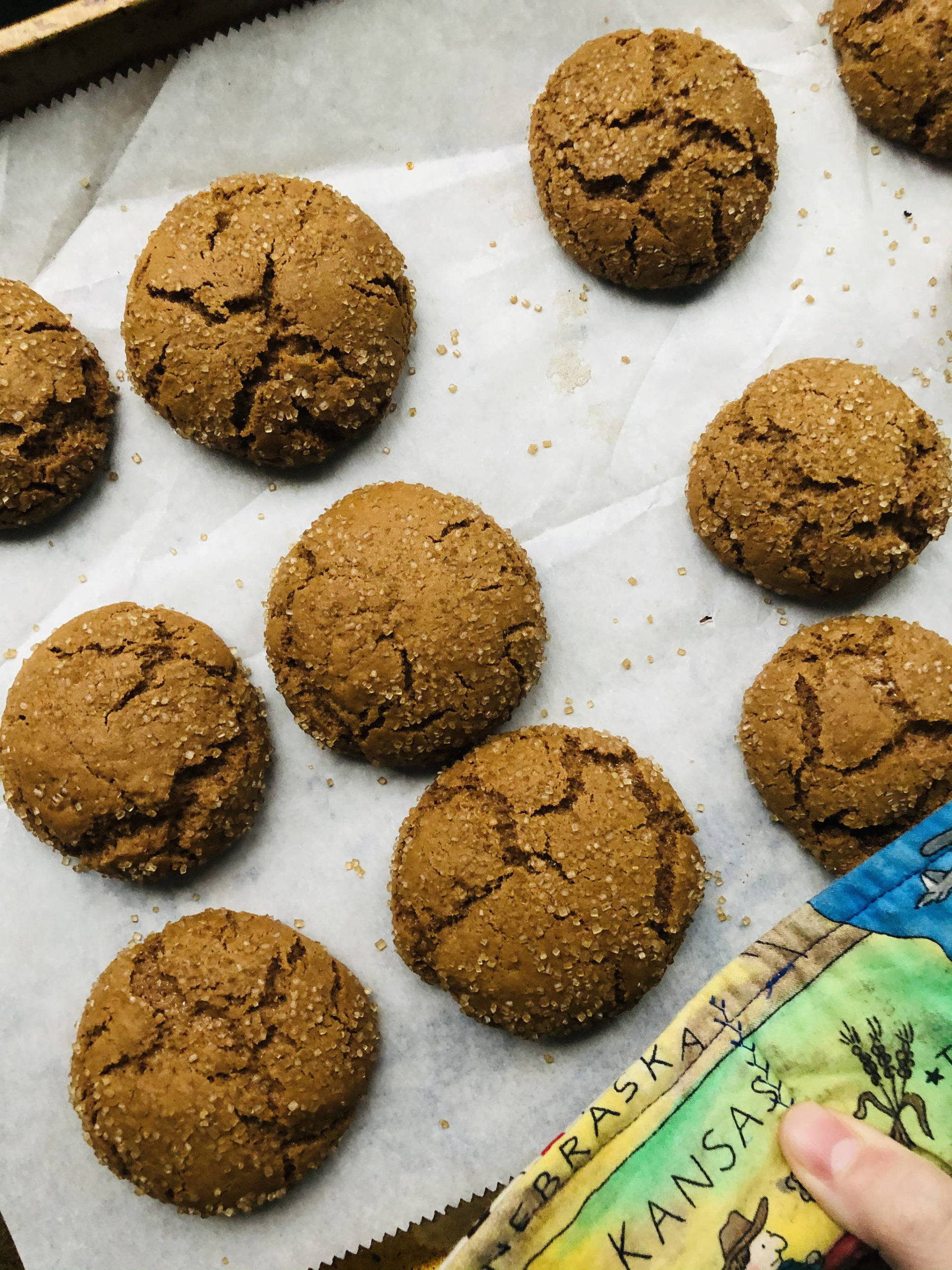Photo by Victoria Petersen/Peninsula Clarion 
Ginger molasses cookies make for a delicious, chewy way to spread holiday cheer to family and friends isolated during the pandemic, photographed on Nov. 30, 2020, in Anchorage, Alaska.