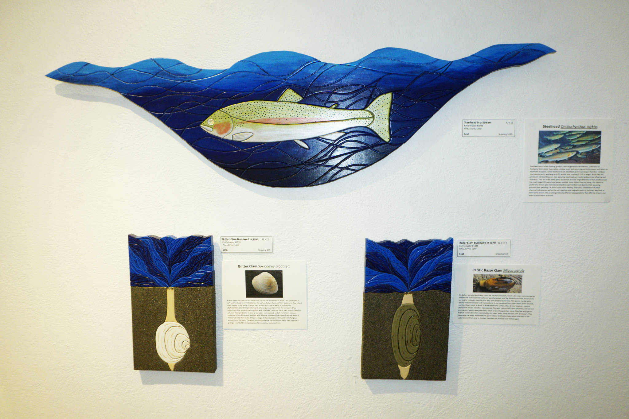 “Steelhead in a Stream,” top, “Butter Clam Burrowed in Sand,” lower left, and “Razor Clam Burrowed in Sand,” lower right, are three of the pieces in Kim Schuster’s exhibit, “Science Observed Through Art: Unsung Species,” as seen here on Friday, Dec. 4, 2020, at Ptarmigan Arts in Homer, Alaska. (Photo by Michael Armstrong/Homer News)