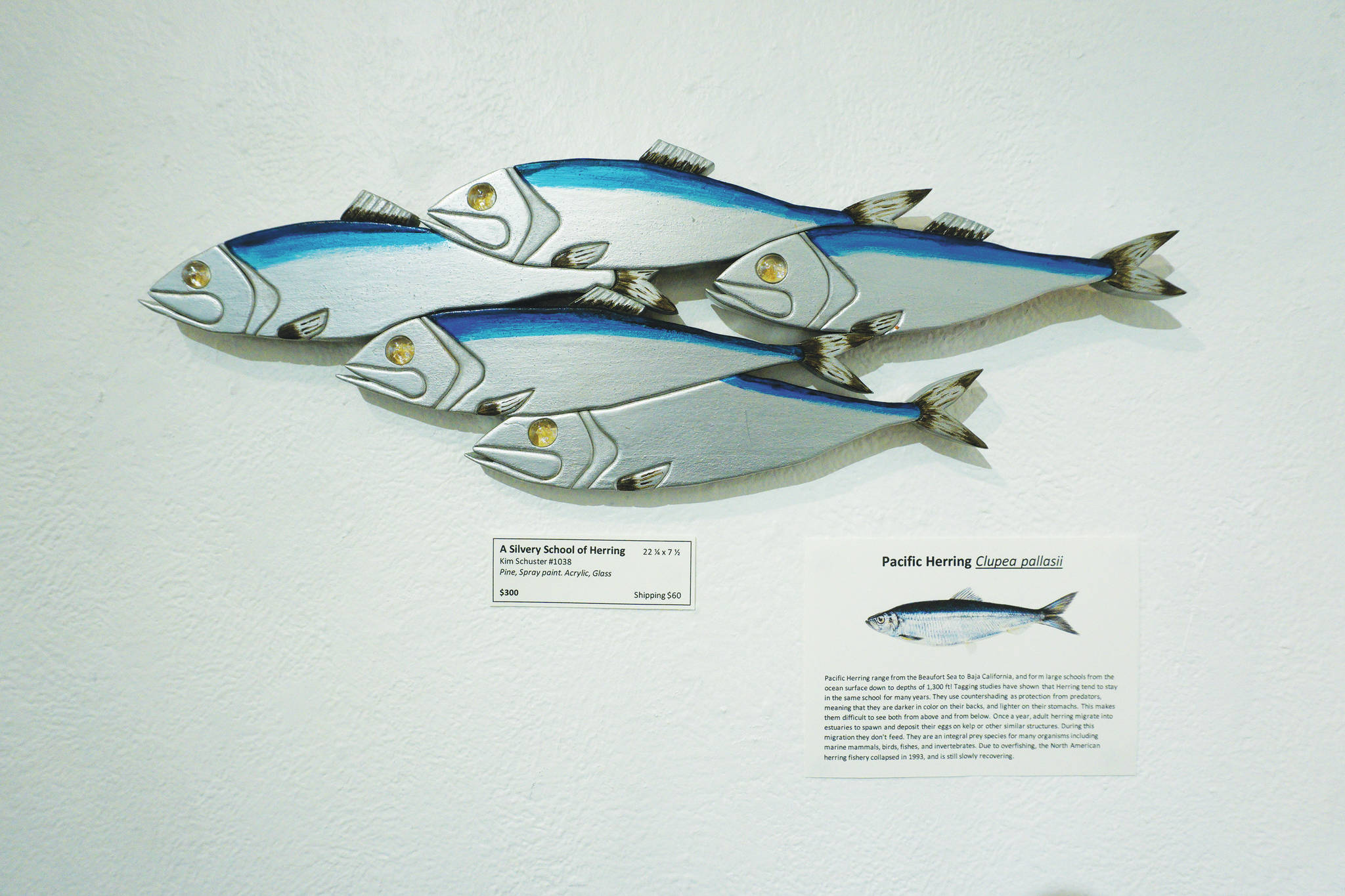 “A Silvery School of Herring” is one of the pieces in Kim Schuster’s exhibit, “Science Observed Through Art: Unsung Species,” as seen here on Friday, Dec. 4, 2020, at Ptarmigan Arts in Homer, Alaska. (Photo by Michael Armstrong/Homer News)