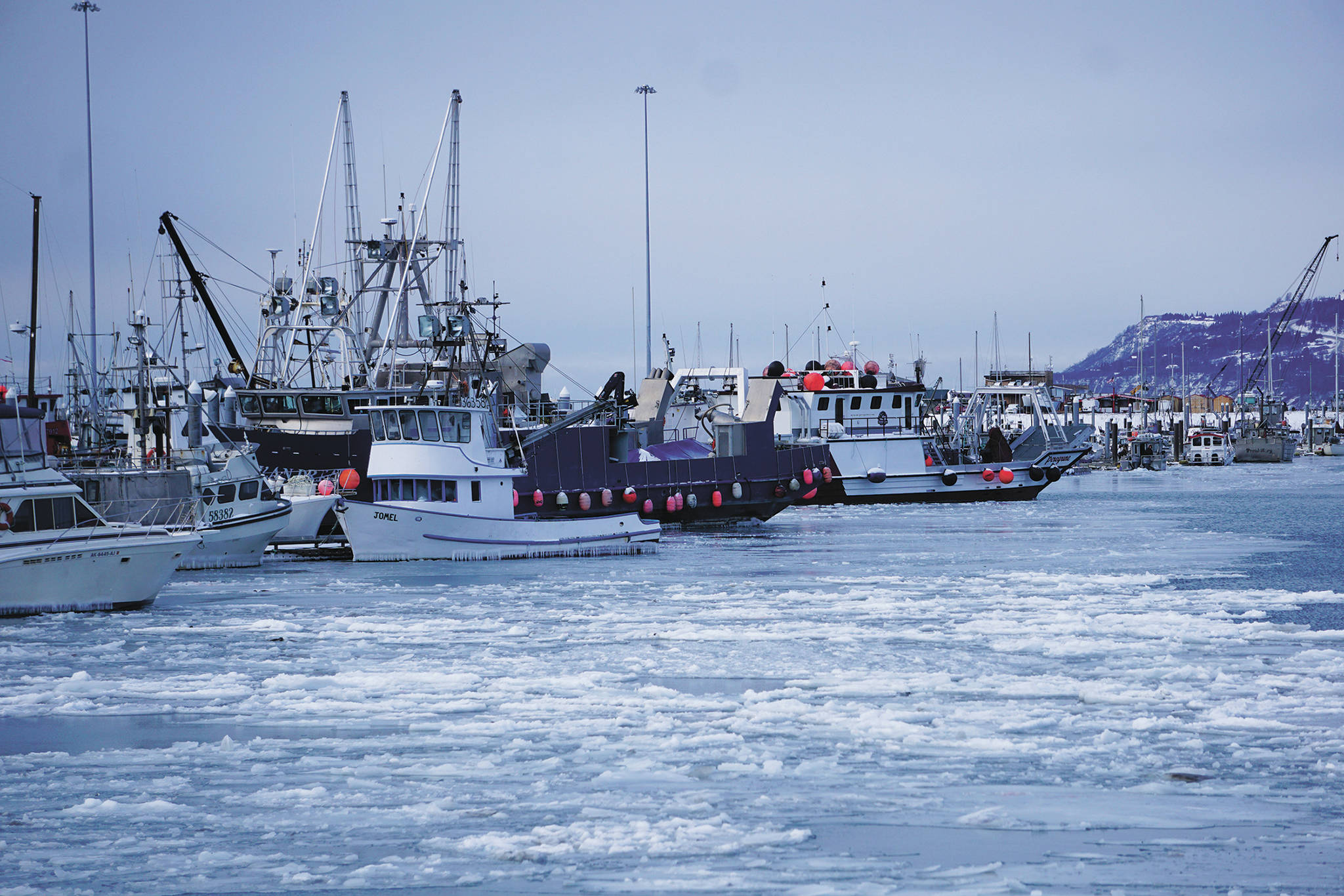Ice chokes the Homer Harbor on Jan. 9, 2020, in Homer, Alaska. (Photo by Michael Armstrong/Homer News)