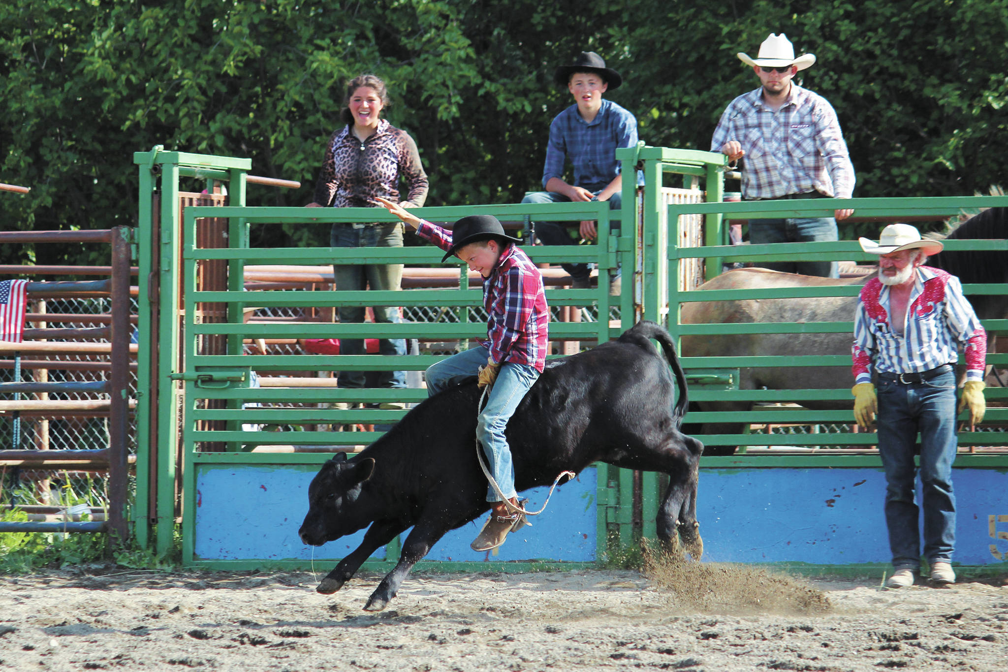 Zephan Jones, of the Homer area, takes a turn riding a bull calf during the 60th annual Ninilchik Rodeo on Saturday, July 4, 2020 at the Kenai Peninsula Fairgrounds in Ninilchik, Alaska. The rodeo lasted throughout the July Fourth holiday and celebrated a return to the event’s roots. (Photo by Megan Pacer/Homer News)