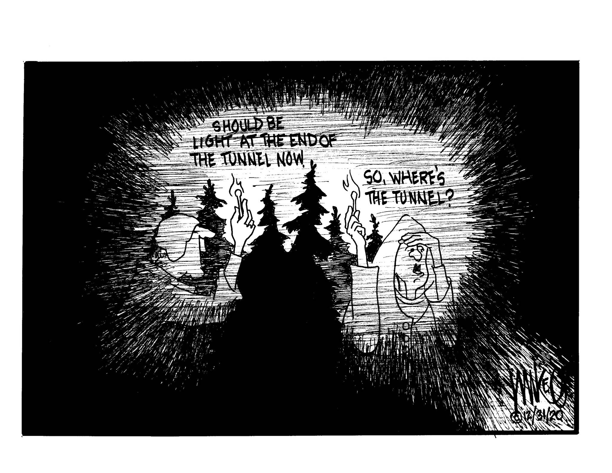 Michael O'Meara's cartoon for Dec. 31, 2020.