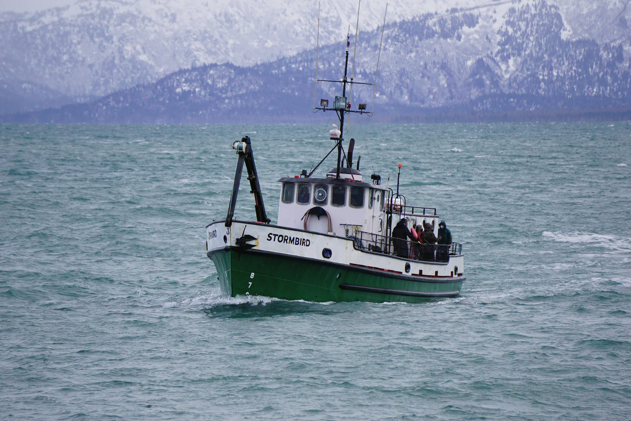 The Stormbird comes into the Homer Harbor on Thursday, Jan. 28, 2021, in Homer, Alaska. (Photo by Michael Armstrong/Homer News)