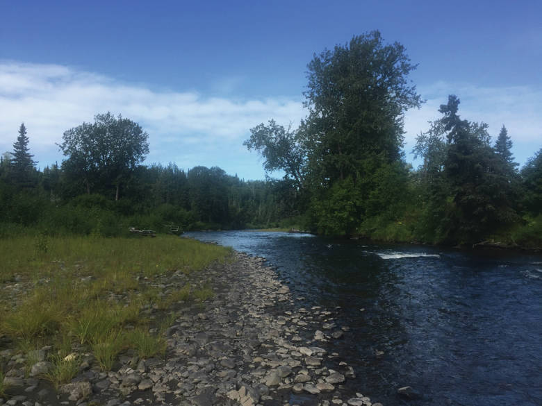 This undated photo shows a section of Deep Creek near Ninilchik, Alalska recently acquired by the Alaska Department of Fish and Game with the assistance of the Kachemak Heritage Land Trust to protect hunting and fishing in the area. (Photo courtesy of Kachemak Heritage Land Trust)