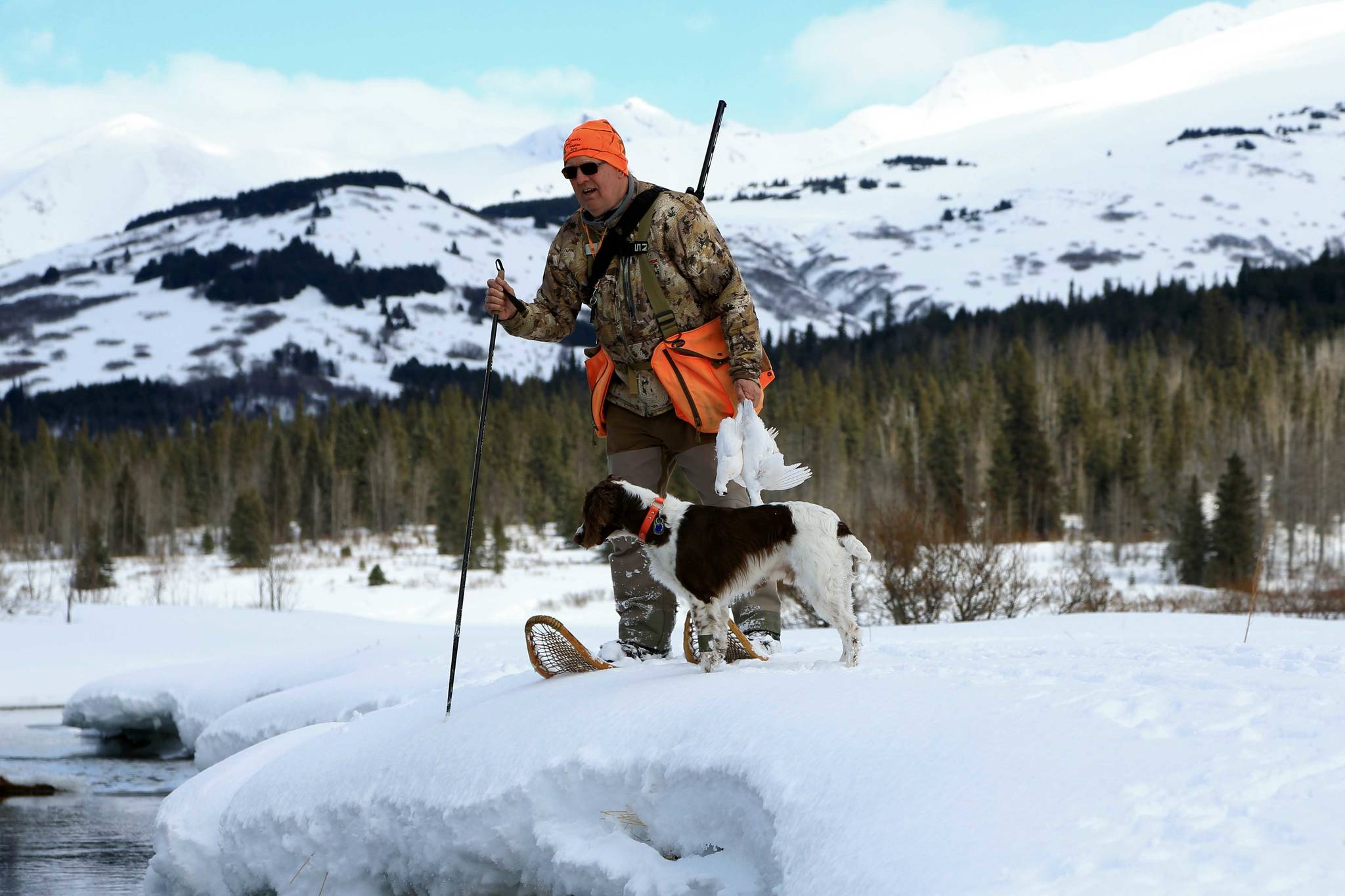 Mike Chihuly and Crosson look for a good place to cross open water during a ptarmigan hunt in the Kenai Mountains. (courtesy)