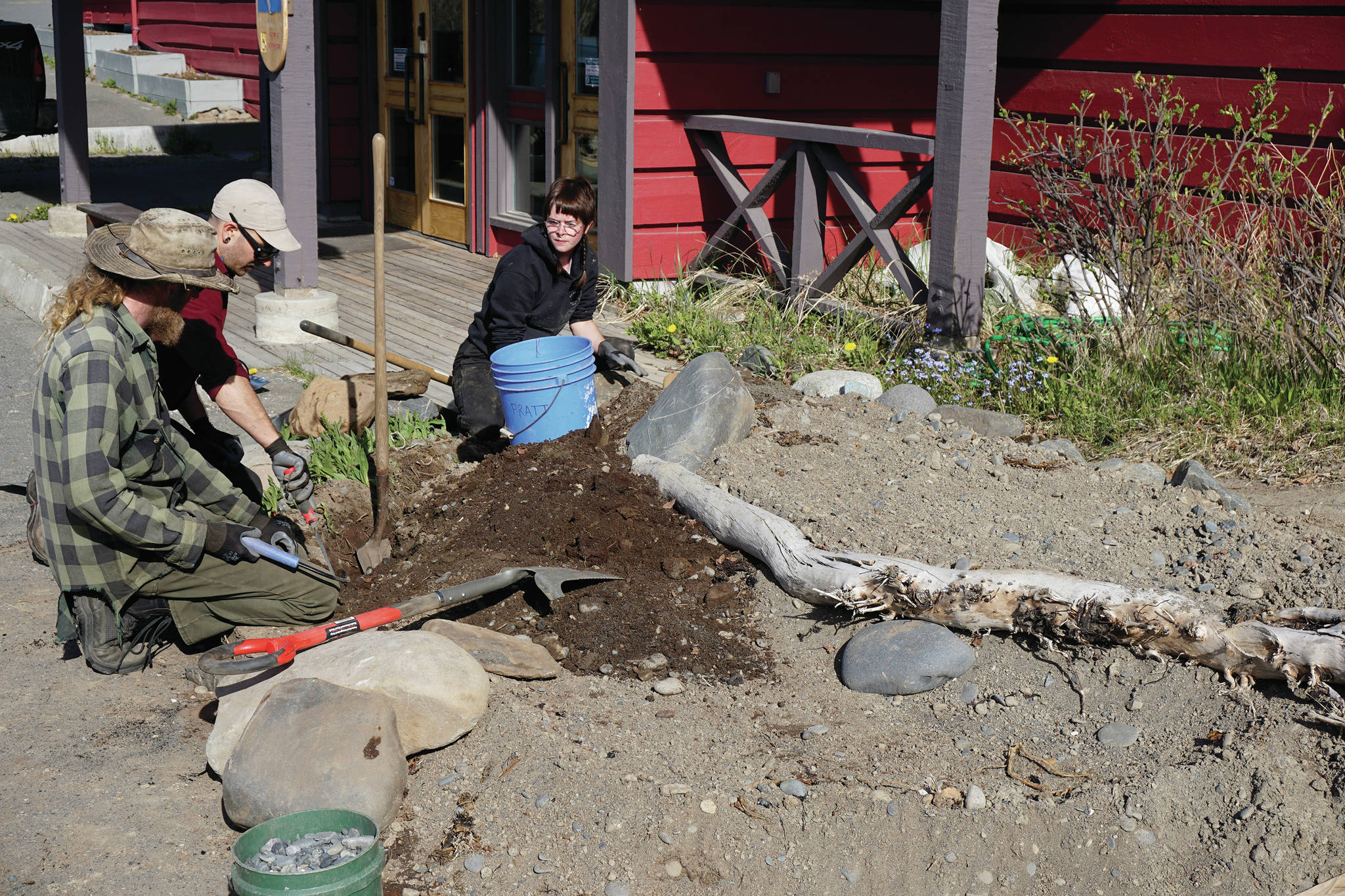 Pratt Museum botanical gardens curator Yarrow Hinnant, left, works with Chase Warren, center, and Gavia Angell, right, on renovating the gardens on Tuesday, May 18, 2021, at the museum in Homer, Alaska. (Photo by Michael Armstrong/Homer News)