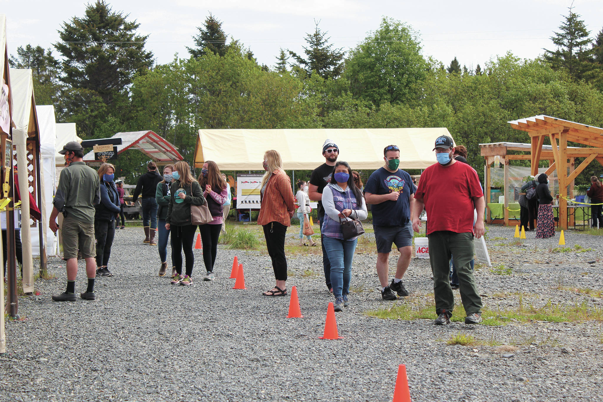 People walk through a pared down version of the Homer Farmers Market on Saturday, May 30, 2020 in Homer, Alaska. (Photo by Megan Pacer/Homer News)
