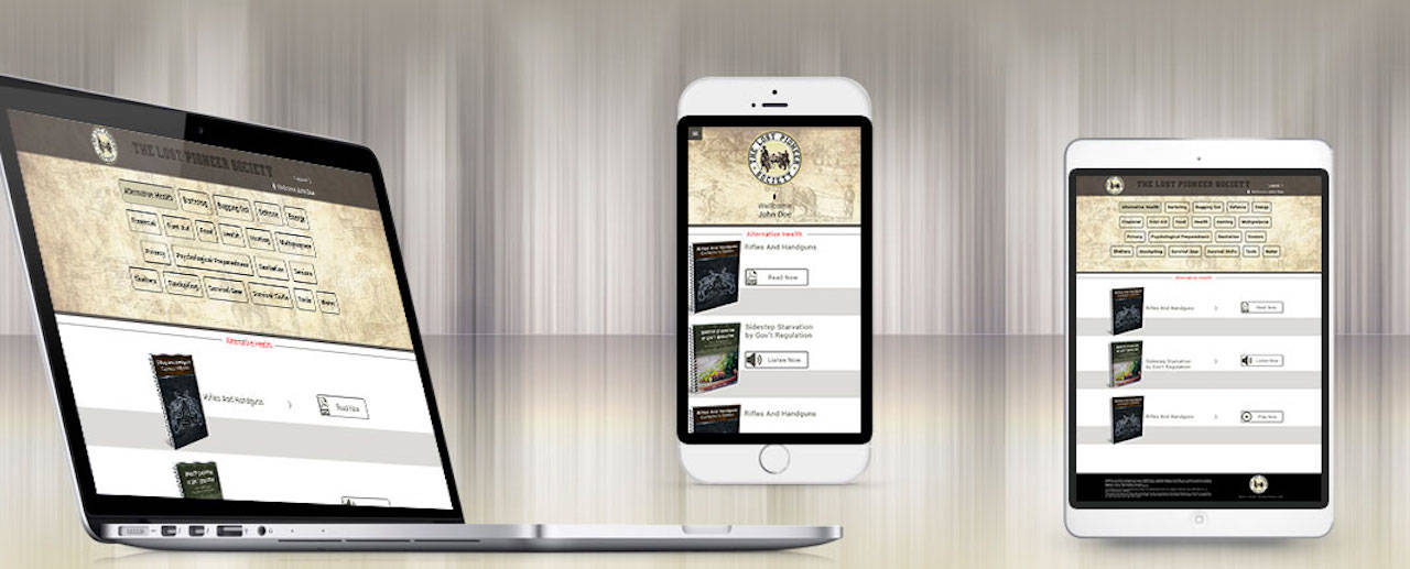 The Lost Pioneer main image