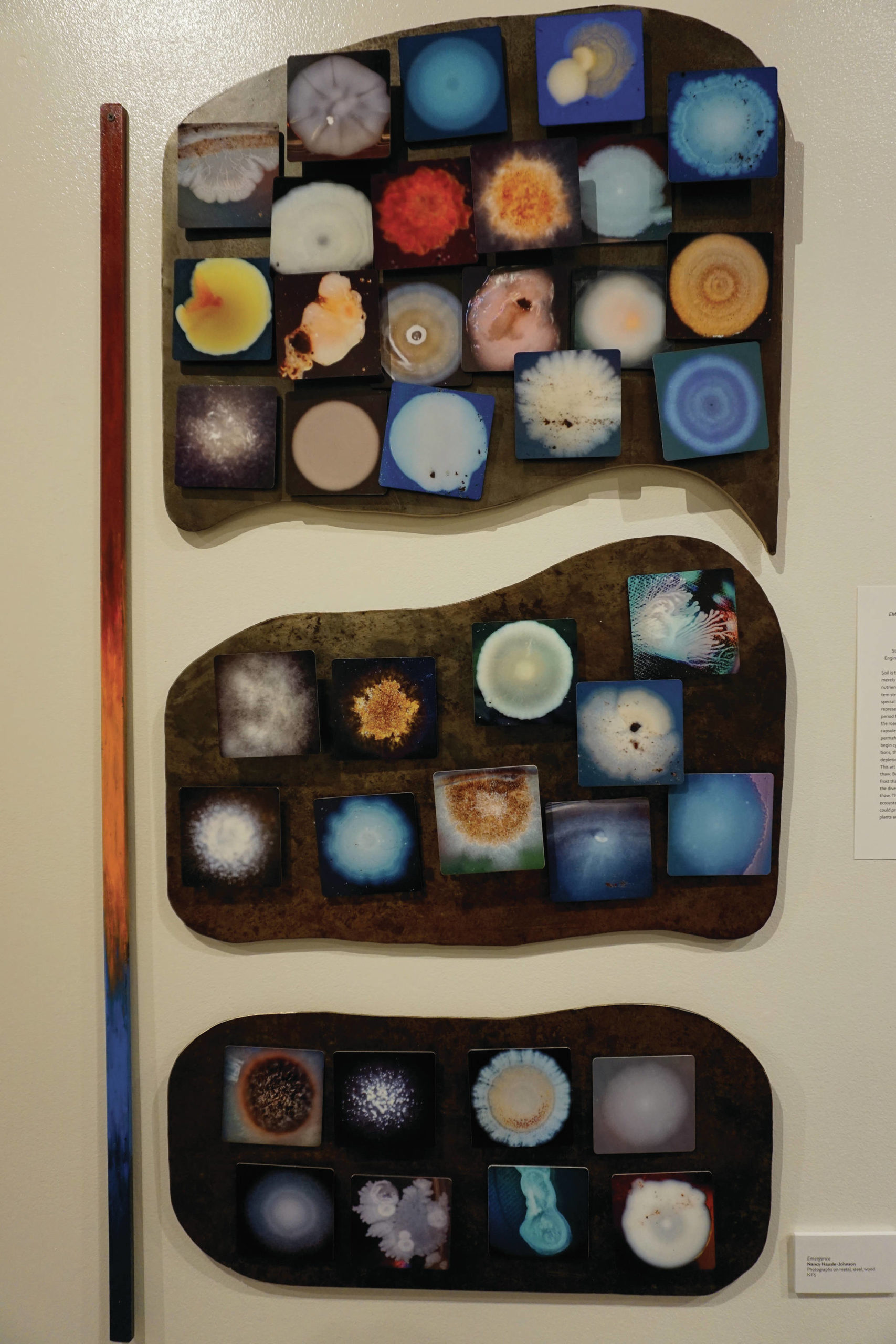 “Emergence,” by Nancy Hausle-Johnson is part of Microbial Worlds, an exhibit showing at the Pratt Museum & Park through the summer of 2021. (Photo by Michael Armstrong/Homer News)