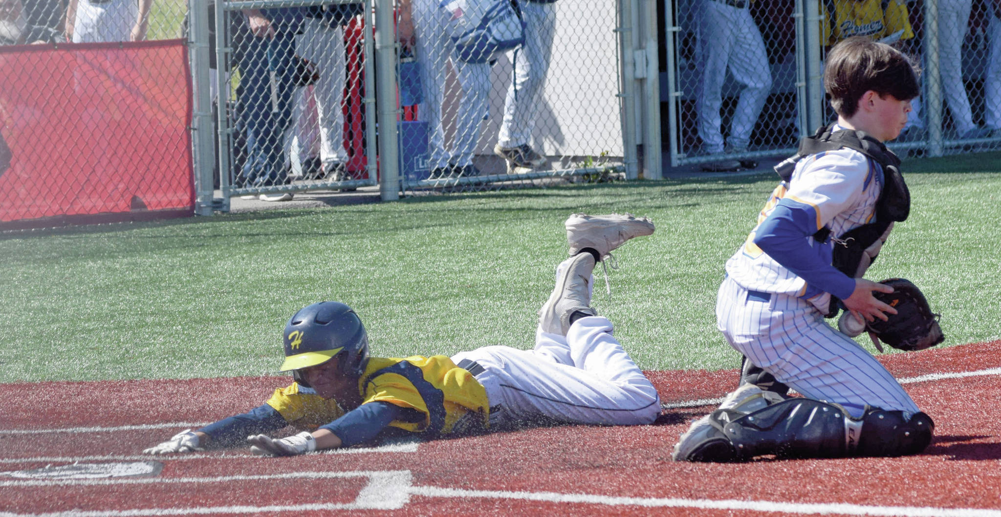 Mylan Johnson slides head first into home plate to score for Homer at the Division II state baseball tournament in Wasilla, Alaska, on Saturday, June 5, 2021. (Camille Botello / Peninsula Clarion)