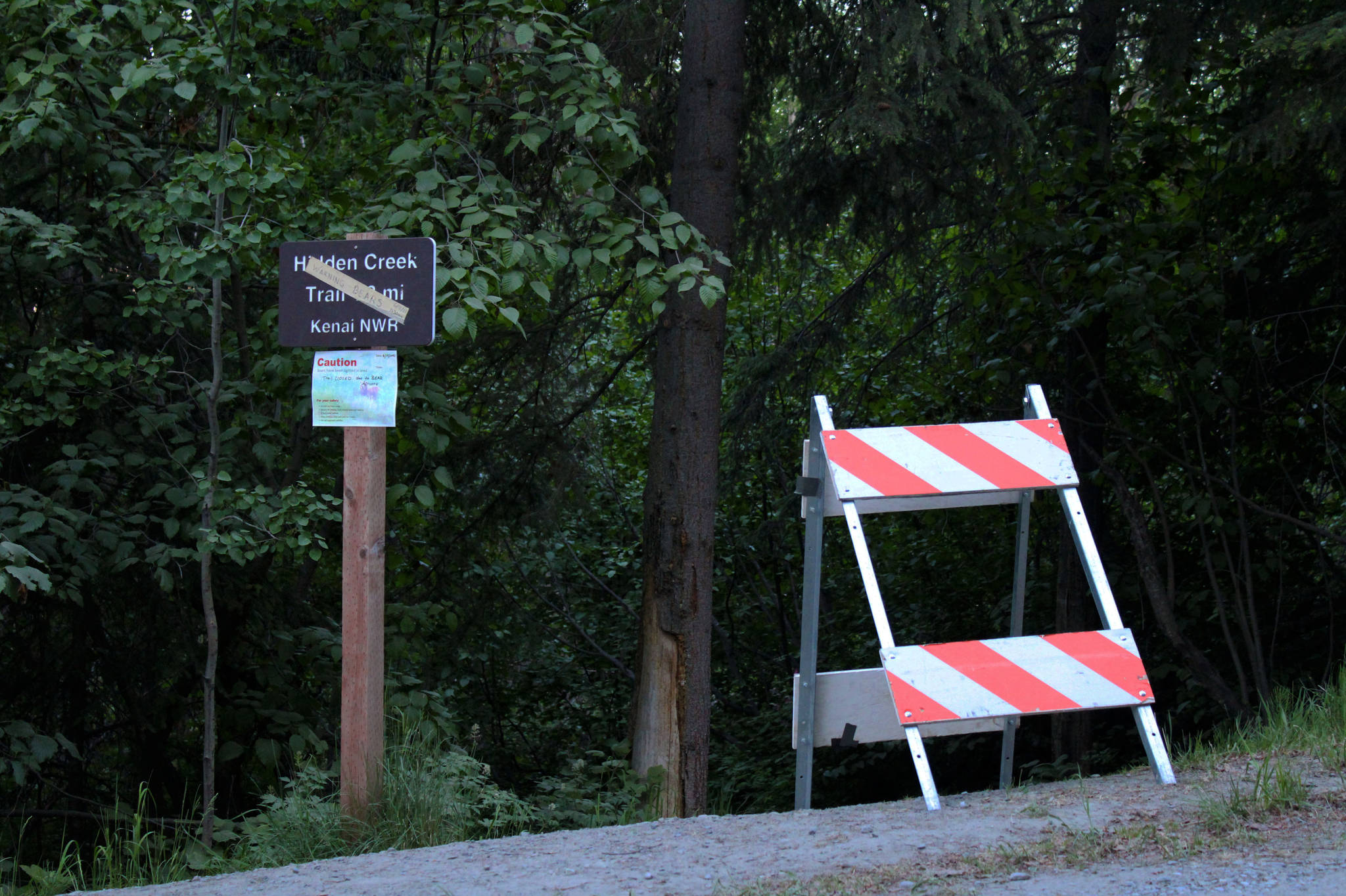 A sign and road blocker at the head of the Hidden Creek Trail on Skilak Lake Road warns people about bear activity on Sunday, June 13, 2021 in Alaska. (Ashlyn O’Hara/Peninsula Clarion)