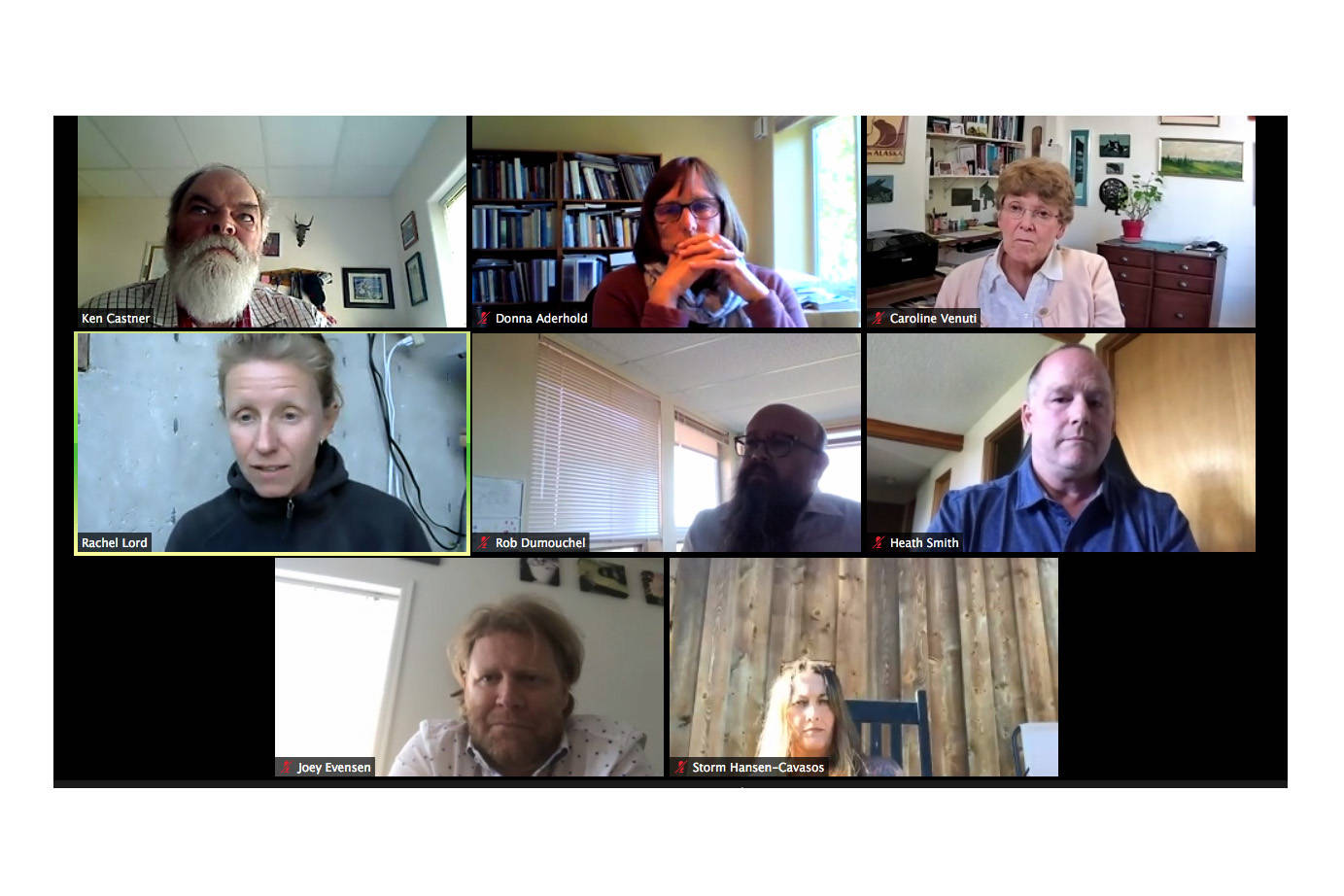 The Homer City Council met June 14 to discuss current legislation and concerns. Screenshot from meeting held via Zoom.