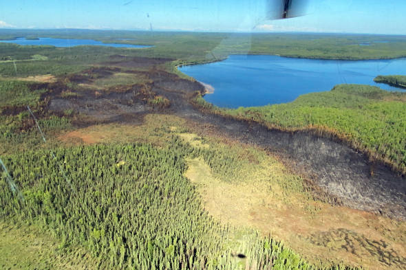 An aerial photo of the 102-acre Loon Lake Fire footprint taken at approximately 11:30 a.m. Tuesday, June 15, 2021. Swan Lake is in the background to the right. (Kale Casey/Alaska DNR-Division of Forestry)