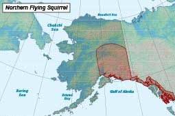 Range (shown in red) of the northern flying squirrel in Alaska. (Source: Alaska Fish and Game)