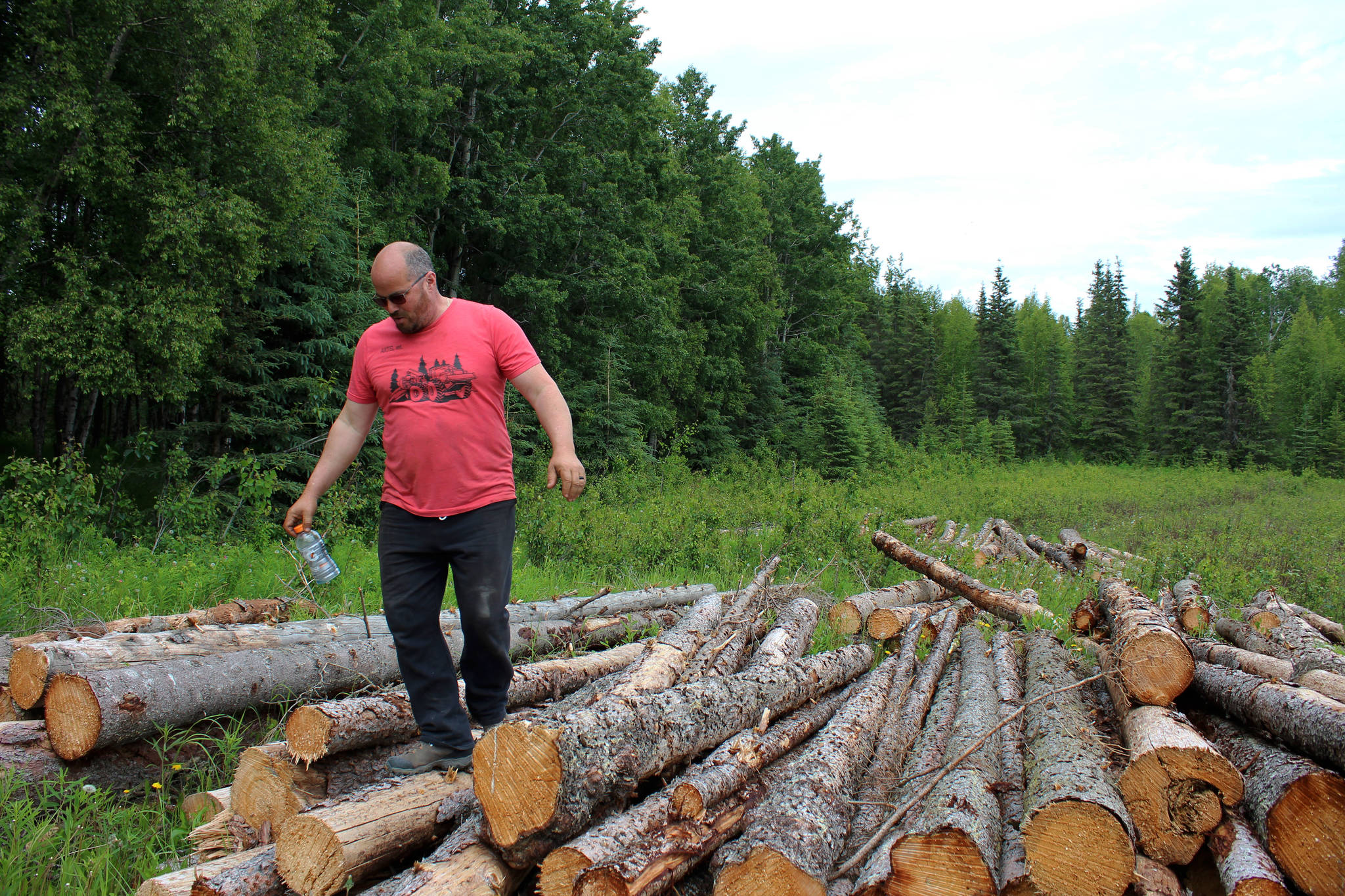 Walt Blauvelt stands on logs near the Central Peninsula Landfill on Thursday, July 1, 2021 near Soldotna, Alaska. (Ashlyn O’Hara/Peninsula Clarion)