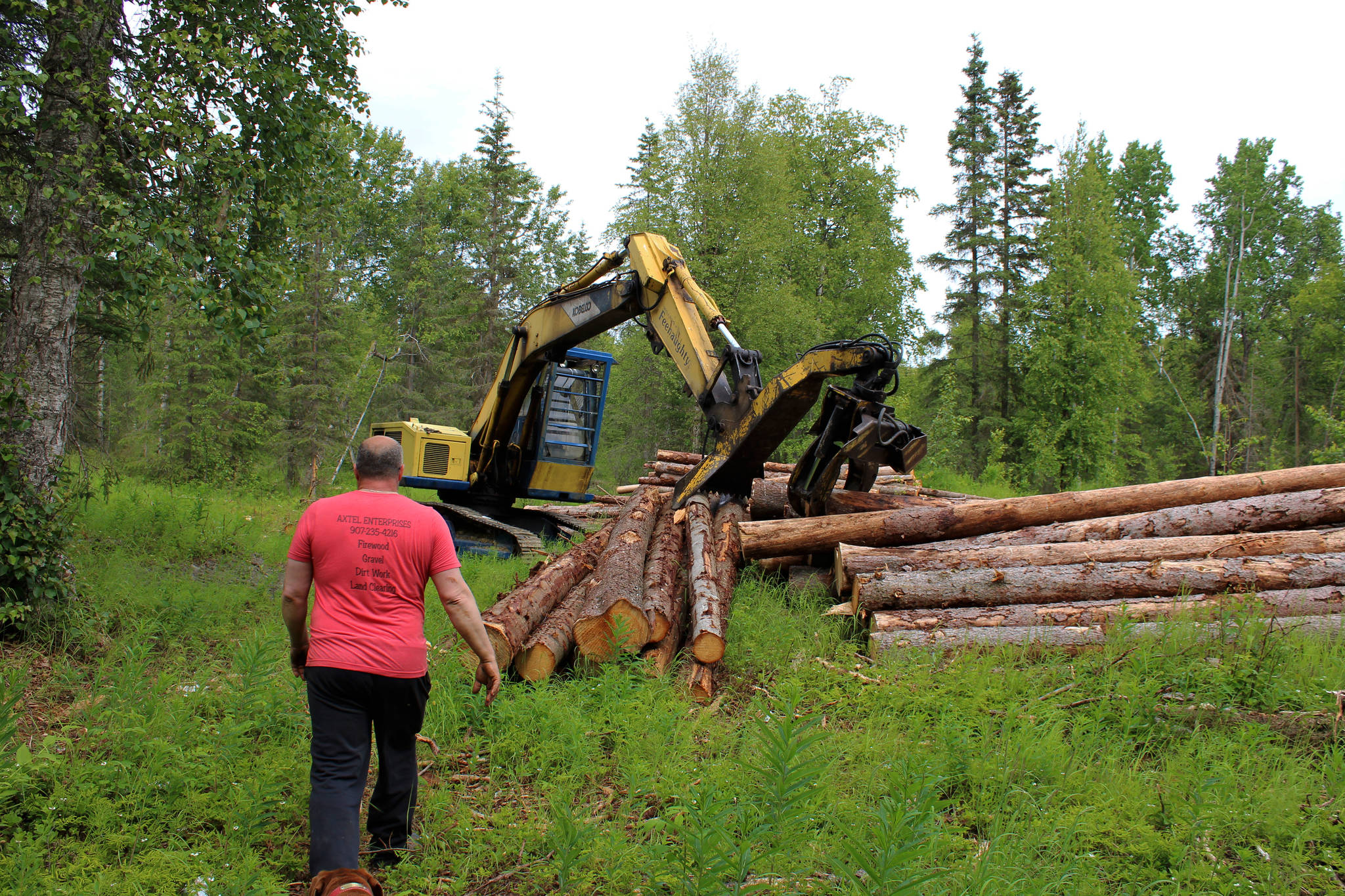Walt Blauvelt walks toward a pile of logs near the Central Peninsula Landfill on Thursday, July 1, 2021 near Soldotna, Alaska. (Ashlyn O’Hara/Peninsula Clarion)