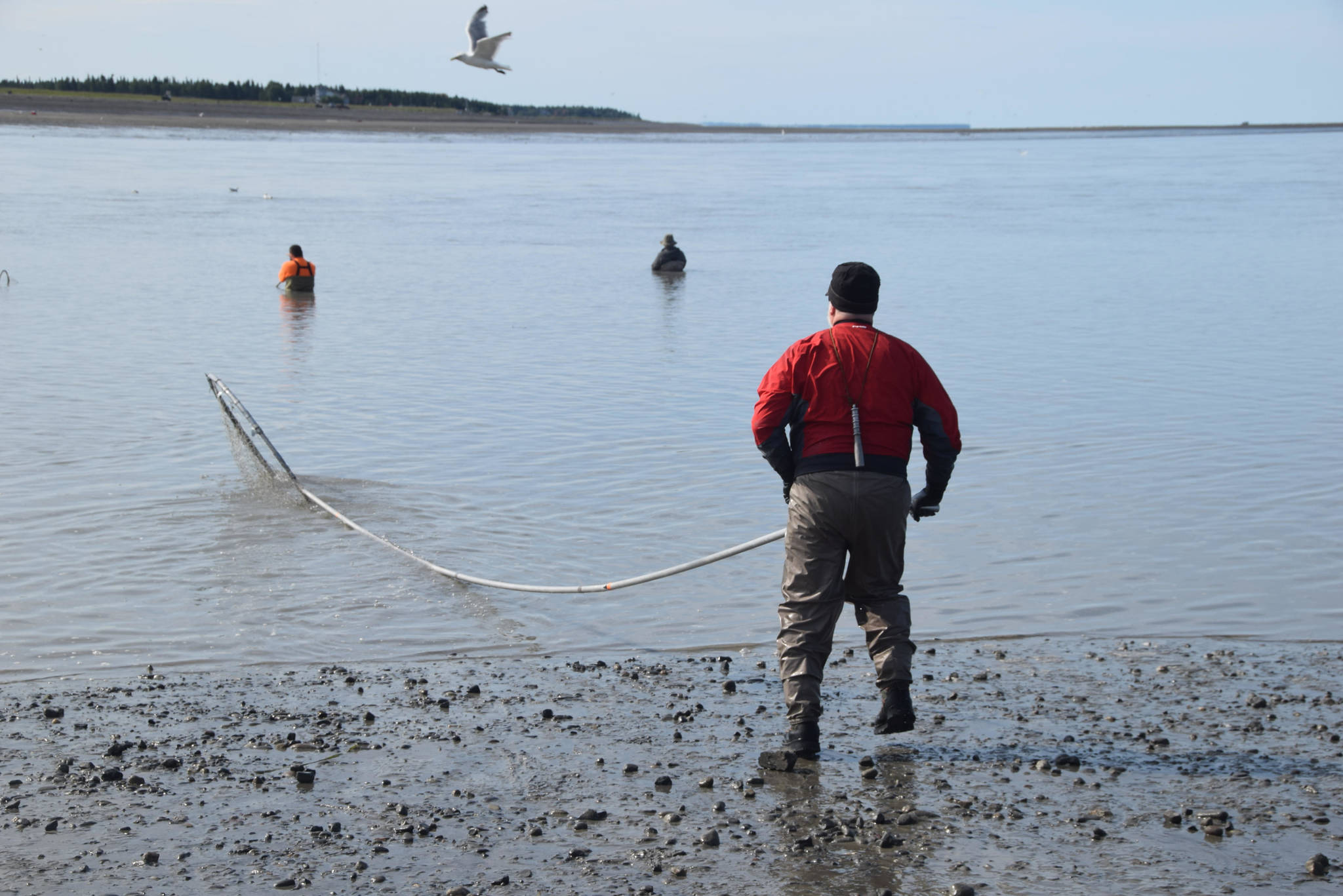 John Hakla from Eagle River heads back into the water while dipnetting on the North Kenai Beach on Wednesday, July 17, 2019. (Photo by Brian Mazurek/Peninsula Clarion file)