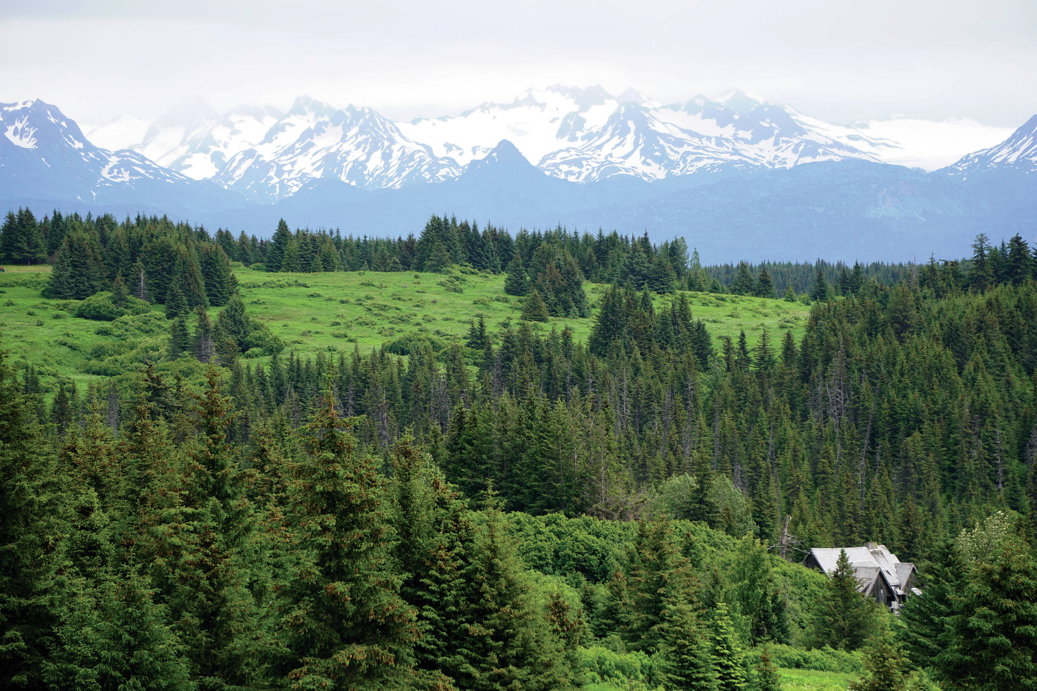 The Kenai Mountains can be seen from the Homestead Trail on Diamond Ridge, as seen Sunday, July 11, 2021, near Homer, Alaska. (Photo by Michael Armstrong/Homer News)