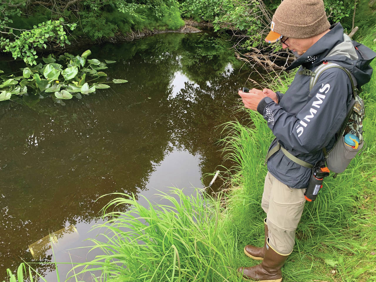 Kyle Hansen checks out a stream earlier this month on Inspiration Ridge Preserve near Homer, Alaska. (Photo by Nina Faust)