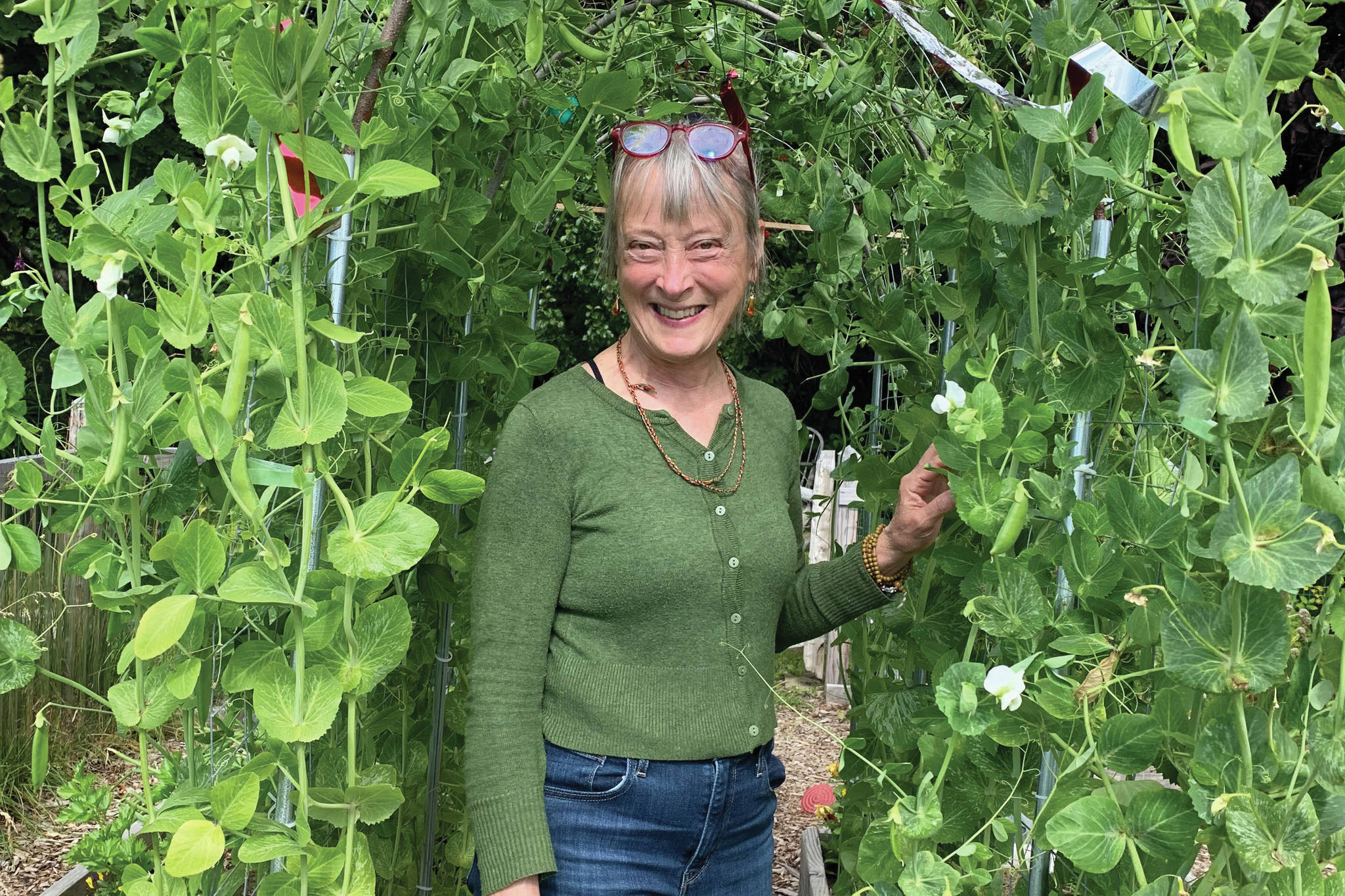 Debi Poore stands under her very successful pea tunnel on Aug. 20, 2021, at her home in Homer, Alaska. (Photo by Rosemary Fitzpatrick)