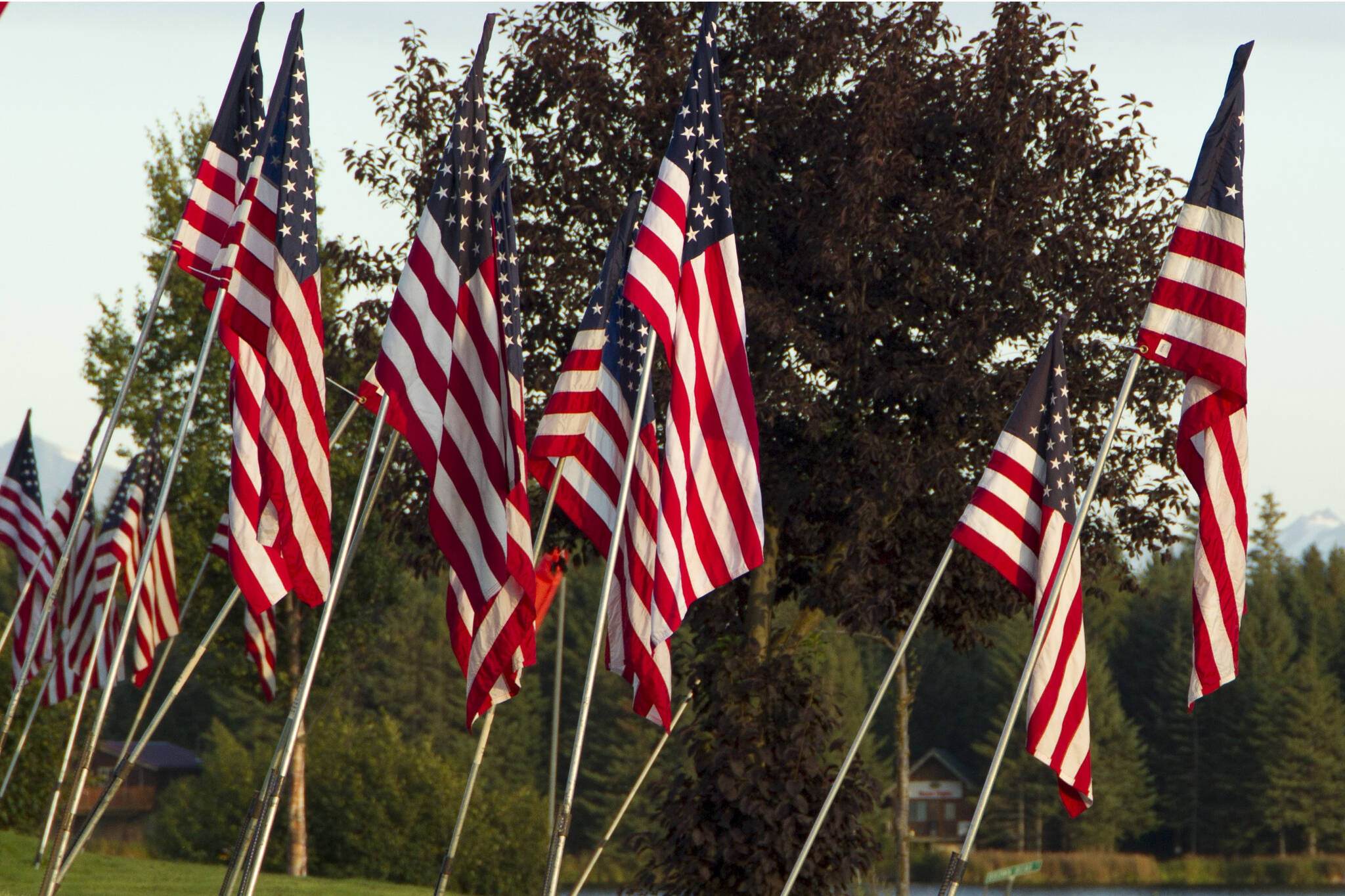 The Homer-Kachemak Bay Rotary and American Legion Post 16 placed flags in honor of the 2,996 people killed in the four terrorist attacks on Sept. 11, 2001, and the 13 service members killed in Afghanistan on Aug. 26, 2021. (Photo by Sarah Knapp/Homer News)