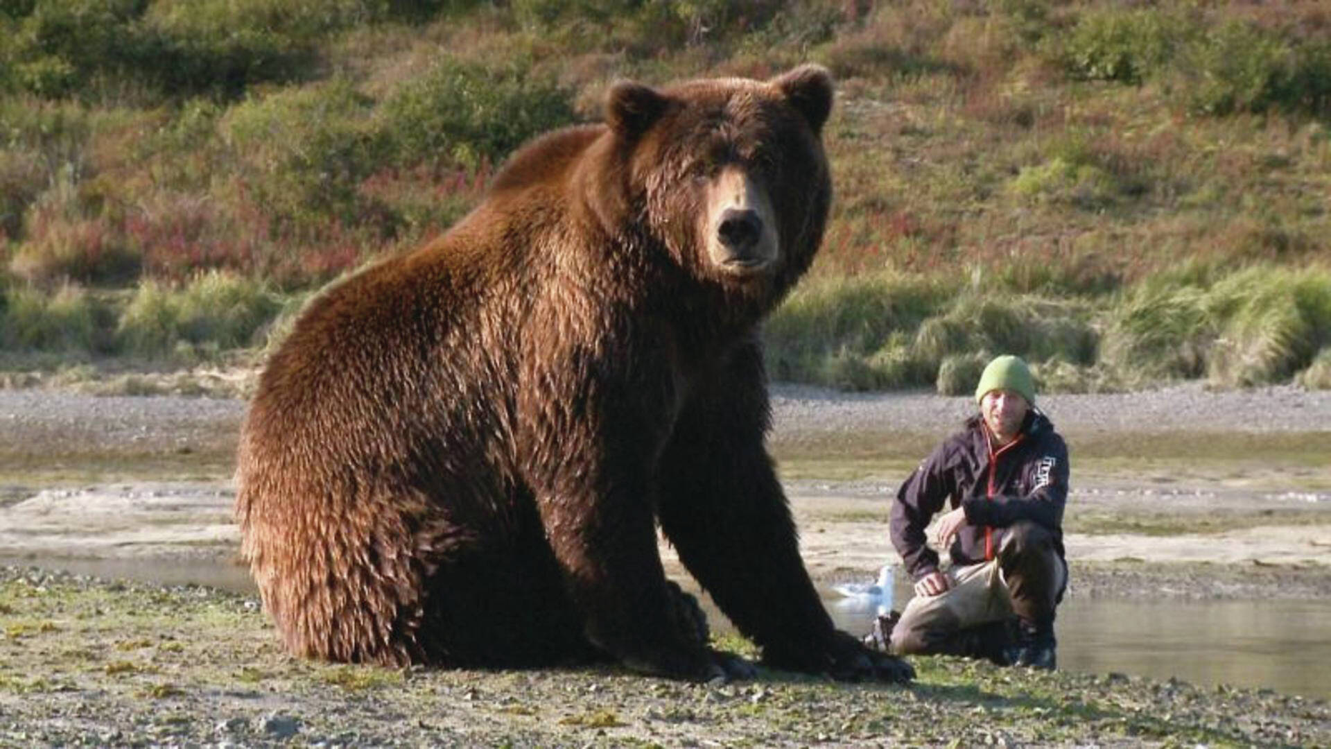 A still from “Der baer in mir (the Bear in Me)” showing at the 17th annual Homer Documentary Film Festival. (Photo provided)