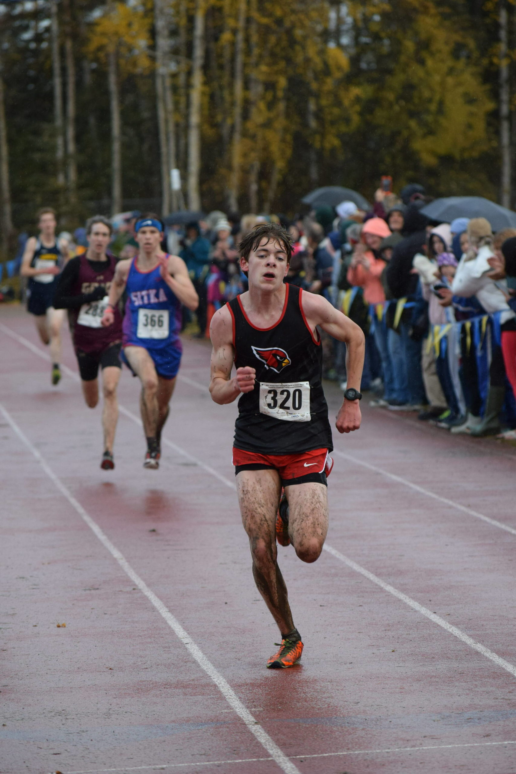 Gregory Fallon of Kenai races his way to sixth place during the Division II state cross country championship at Bartlett High School in Anchorage, Alaska on Saturday, Oct. 9, 2021. (Camille Botello/Peninsula Clarion)