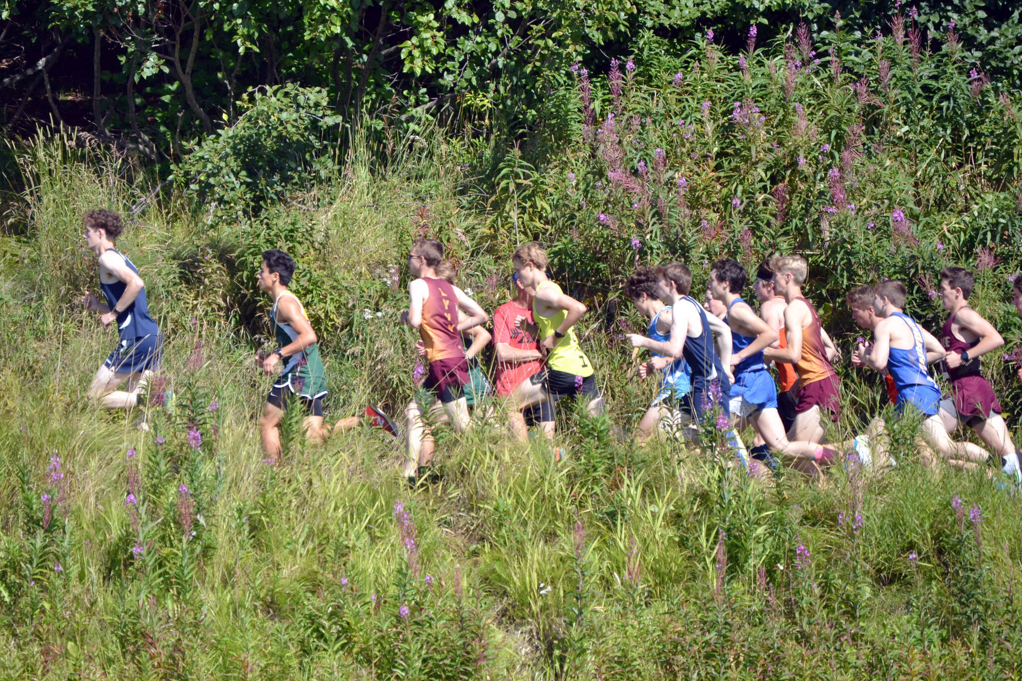 Runners participate in boys varsity race at the Ted McKenney XC Invitational on Saturday, Aug. 21, 2021, at Tsalteshi Trails just outside of Soldotna, Alaska. The trails recently reported incidents of vandalism and theft. (Photo by Jeff Helminiak/Peninsula Clarion)