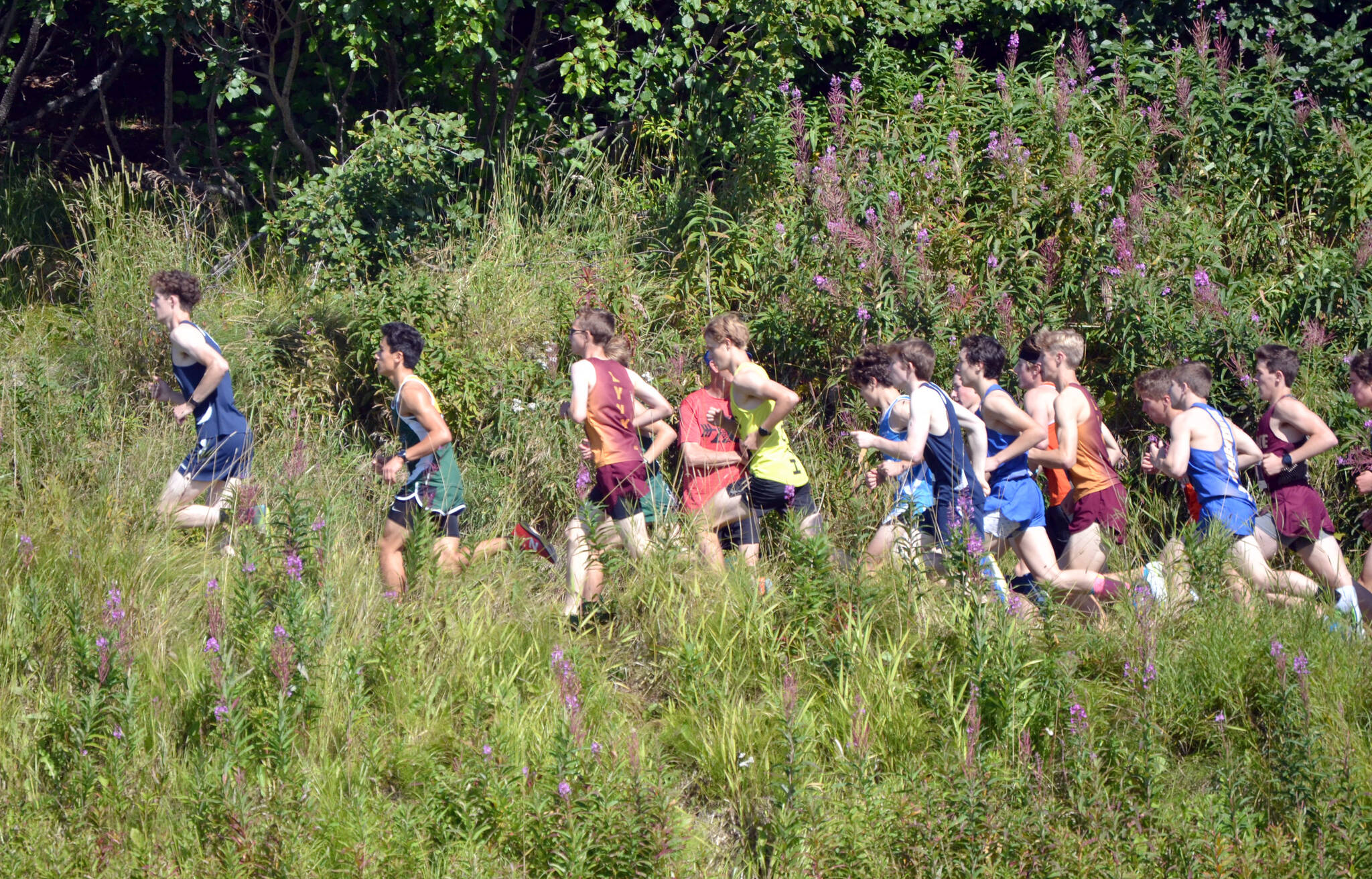 Runners participate in boys varsity race at the Ted McKenney XC Invitational on Saturday, Aug. 21, 2021, at Tsalteshi Trails just outside of Soldotna, Alaska. The trails recently reported incidents of vandalism and theft. (Photo by Jeff Helminiak/Peninsula Clarion)