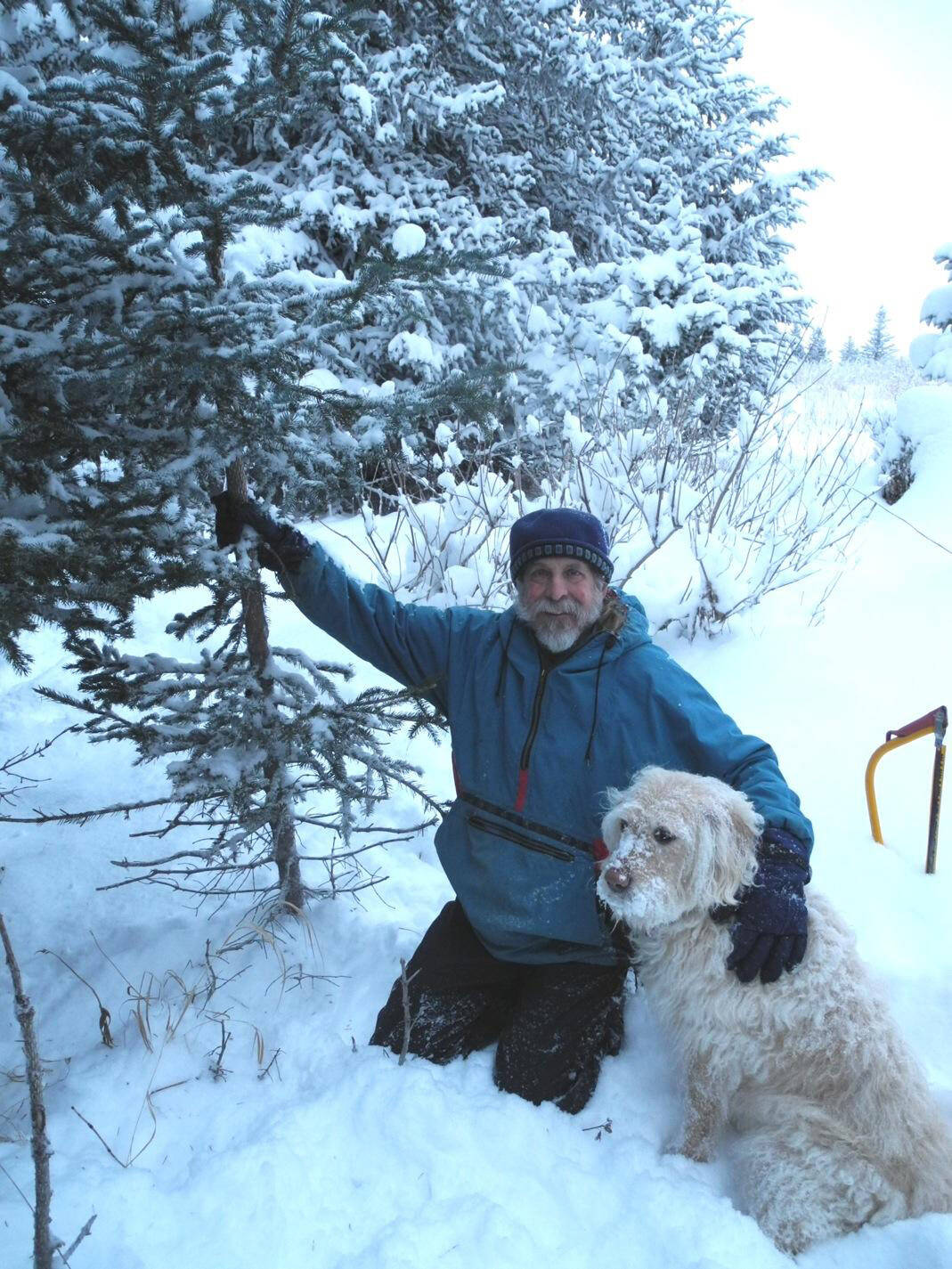 Michael Armstrong and his dog Leia harvest a Christmas tree in December 2013 on his land on Diamond Ridge near Homer, Alaska. (Photo by Jenny Stroyeck)
