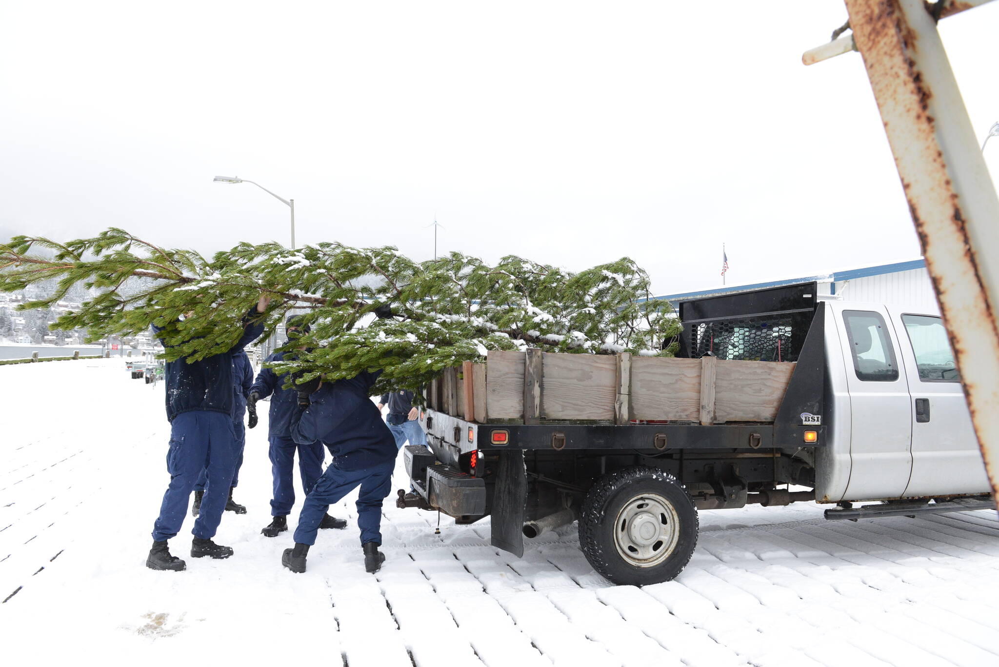 Coast Guardsmen and state employees load the Together Tree bound for the Alaska Governor’s Mansion on a truck on Nov. 29, 2021 after the Coast Guard Cutter Elderberry transported the tree from Wrangell. (USCG photo / Petty Officer 2nd Class Lexie Preston)