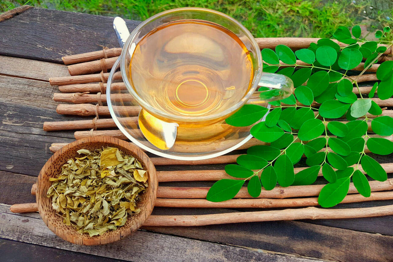 Learn The Most Vital Aspect About Moringa Online