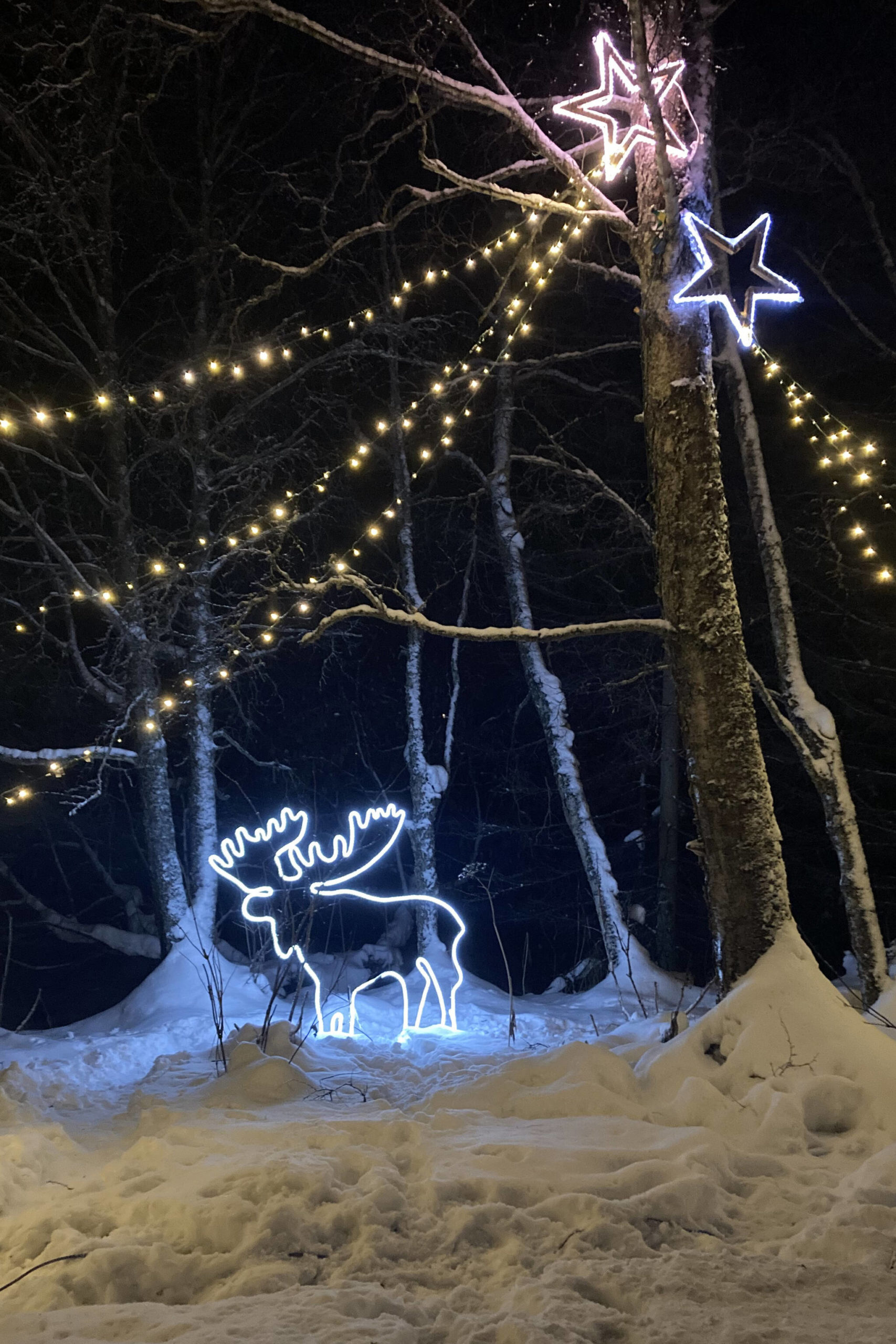 Bright decorations light the path at the Bear Creek Winery Garden of Lights tour as seen on Dec. 11, 2021. The last time to see the lights is this Friday and Saturday. (Photo by Sarah Knapp/Homer News)