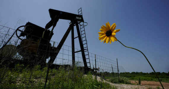 A wildflower blows in the wind near an old pump jack on Molly Rooke's ranch, Tuesday, May 18, 2021, near Refugio, Texas. Oil and gas drilling began on the ranch in the 1920s and there were dozens of orphaned wells that needed to be plugged for safety and environmental protection. According to the U.S. Department of the Interior, Alaska will receive more than $32 million for clean up efforts. (AP Photo/Eric Gay)