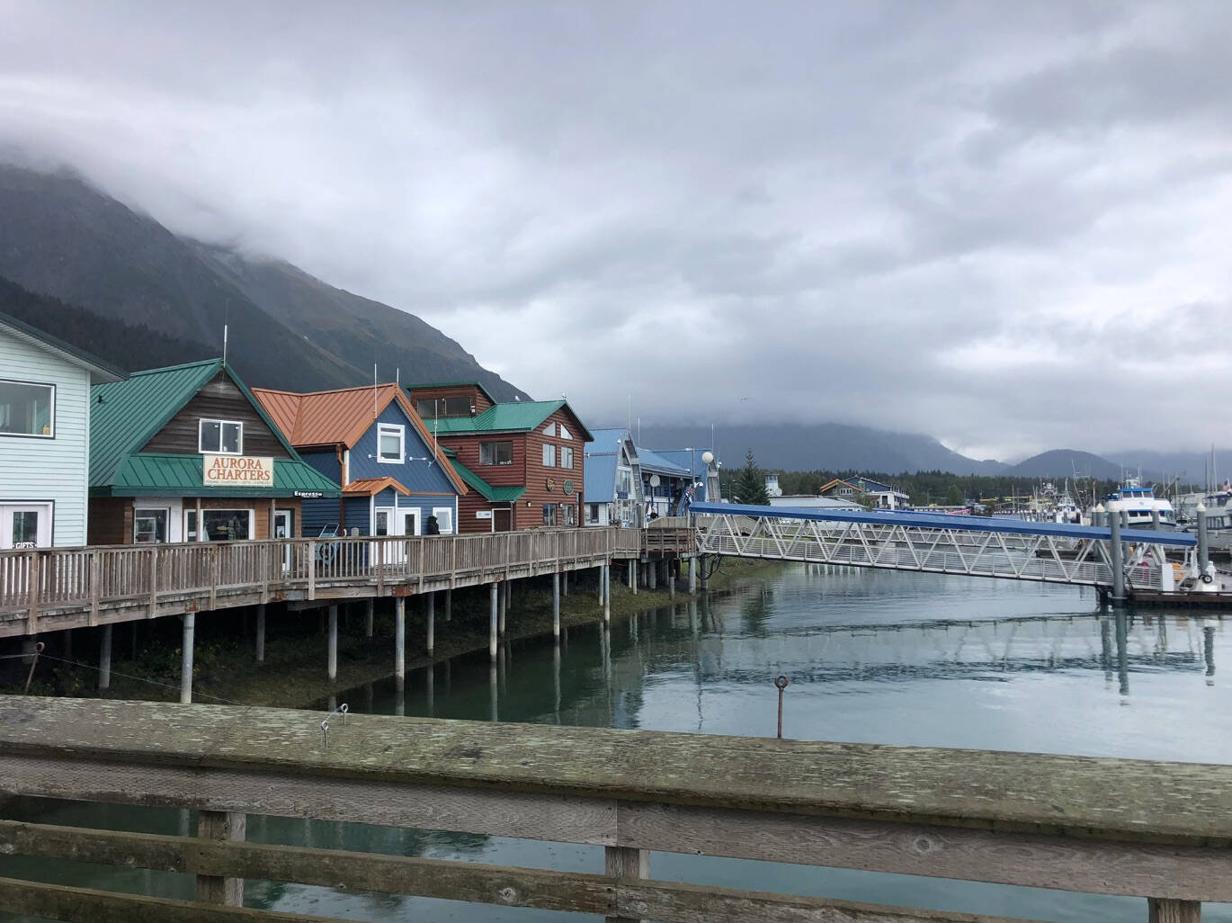 The Seward Harbor is seen on Sept. 8, 2021. (Camille Botello/Peninsula Clarion)