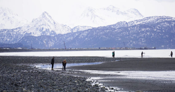 Beachcombers walk the Homer Spit on Monday, March 7, 2022, in Homer, Alaska. Despite the clouds, the beach was more crowded than usual because of spring break. (Photo by Michael Armstrong/Homer News)