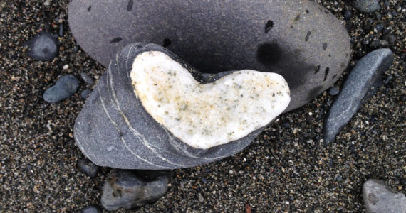 Some heart shaped rocks appear as bands of quartz. (Photo by Michael Armstrong/Homer News)